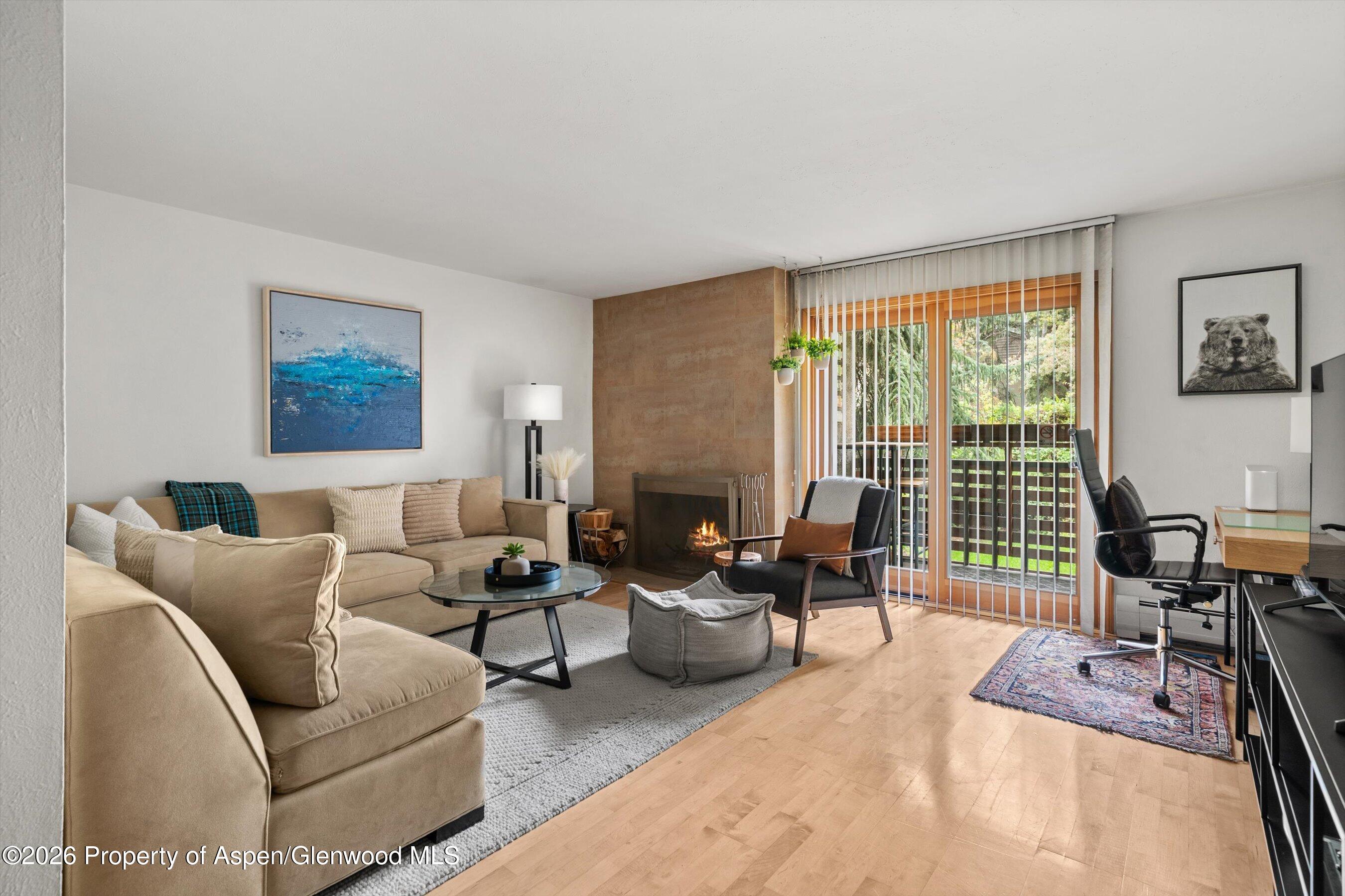 910 W Hallam Street Aspen CO 81611