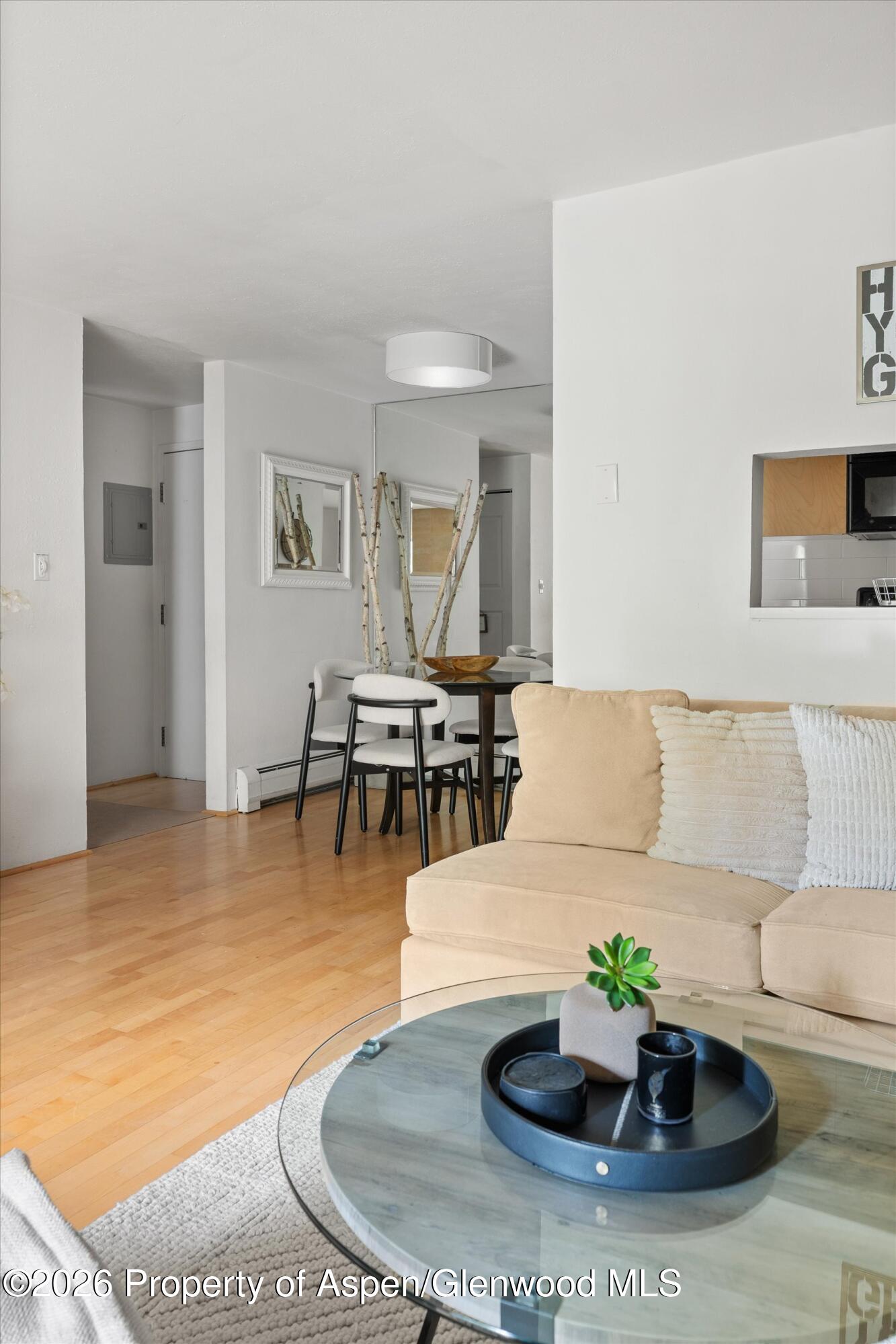 910 W Hallam Street Aspen CO 81611