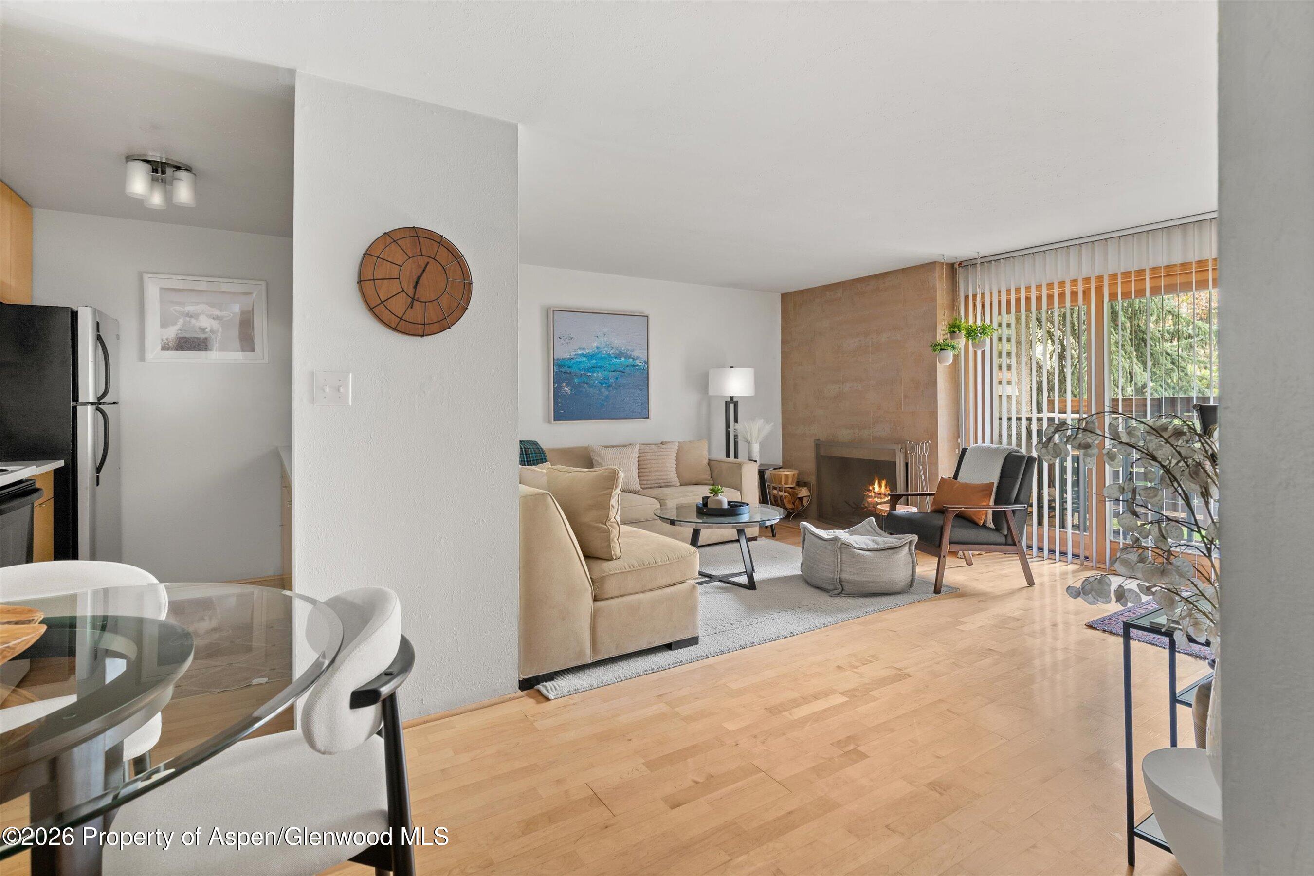 910 W Hallam Street Aspen CO 81611