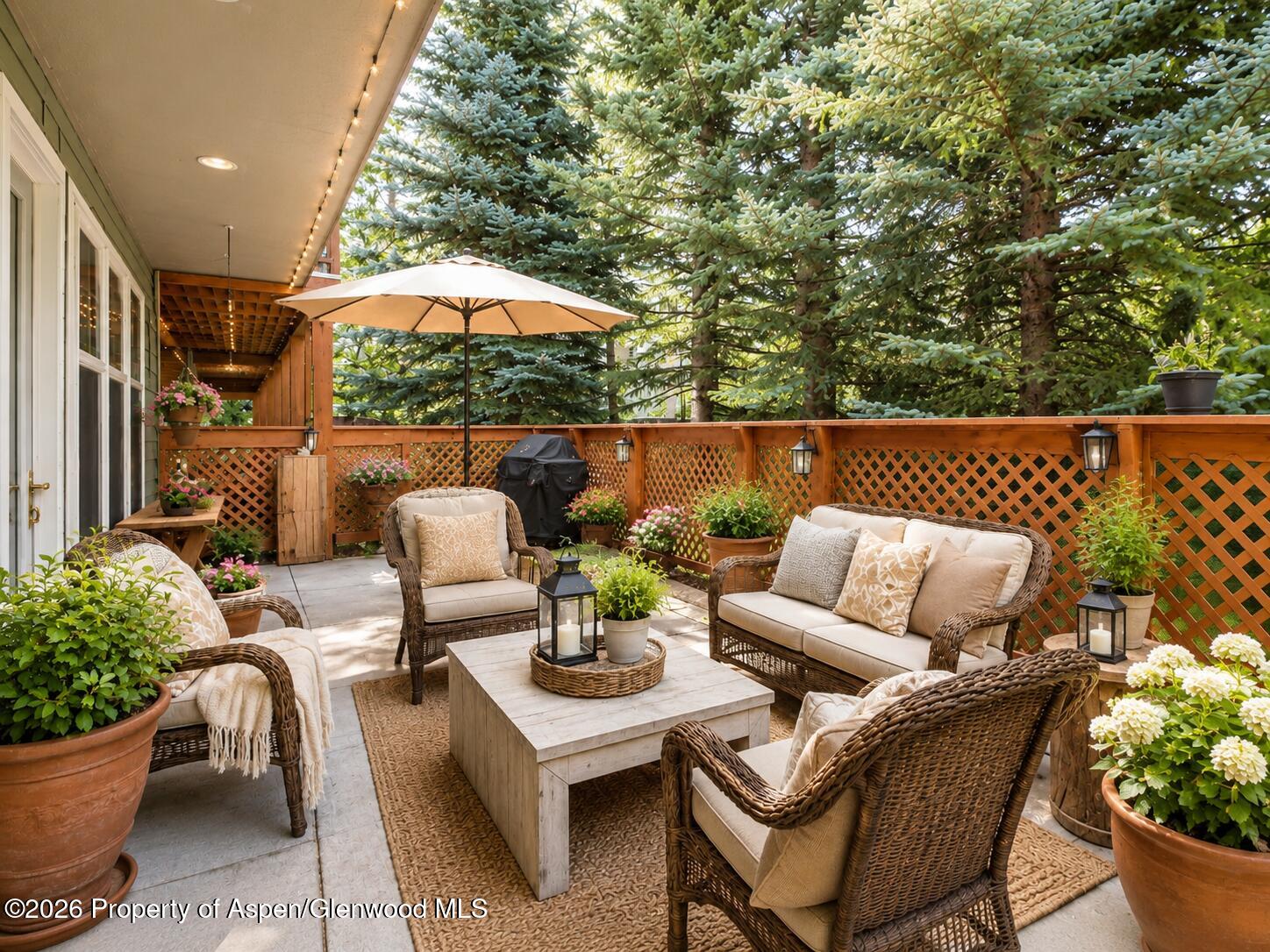 541 Evans Court Basalt CO 81621