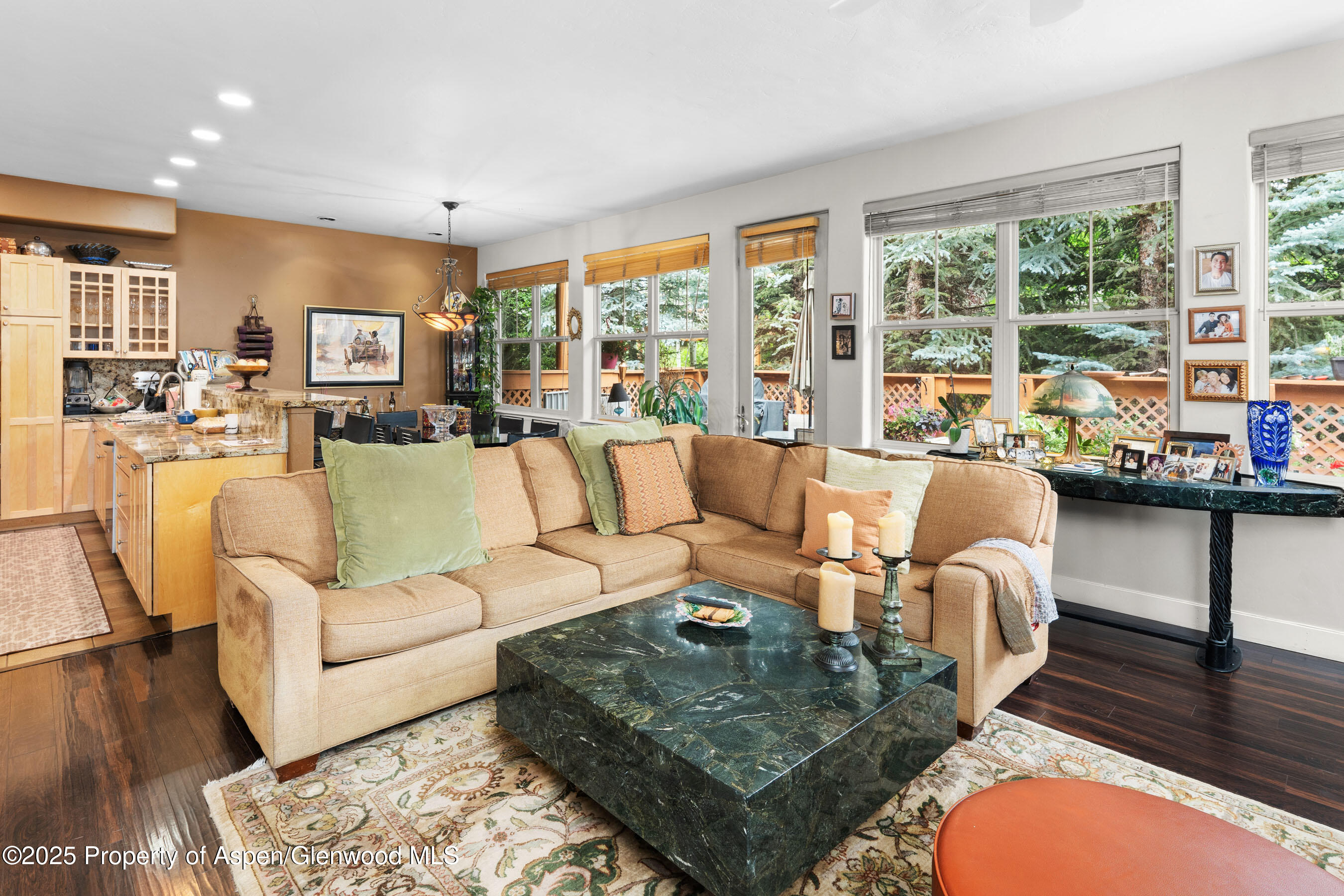 541 Evans Court Basalt CO 81621