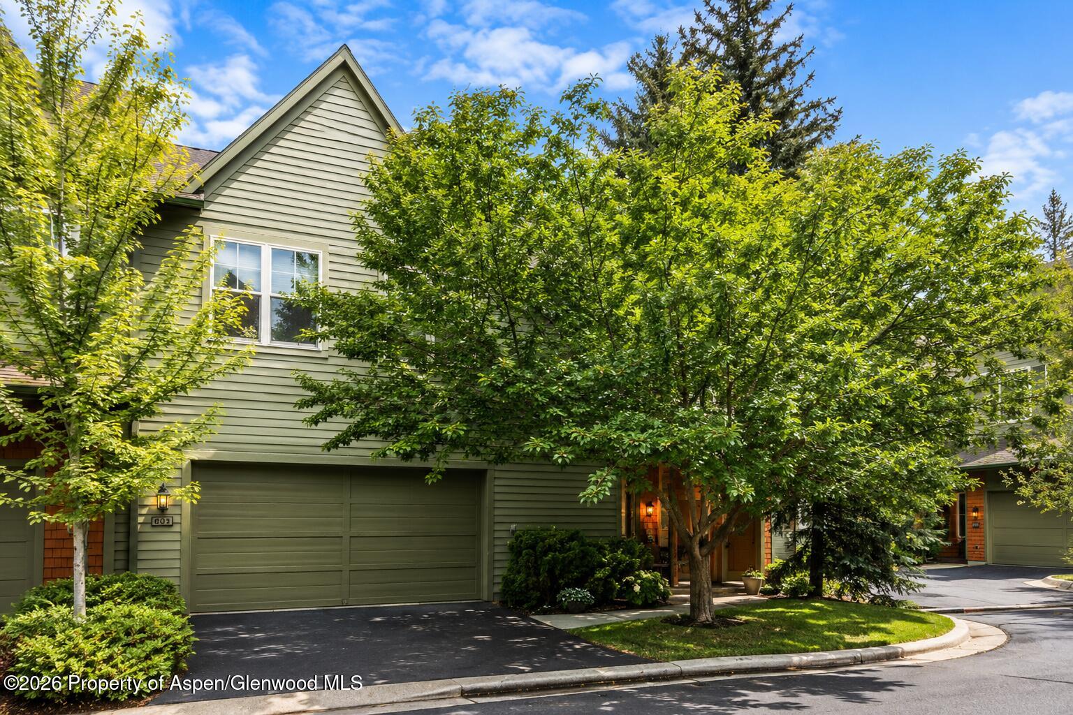 541 Evans Court Basalt CO 81621
