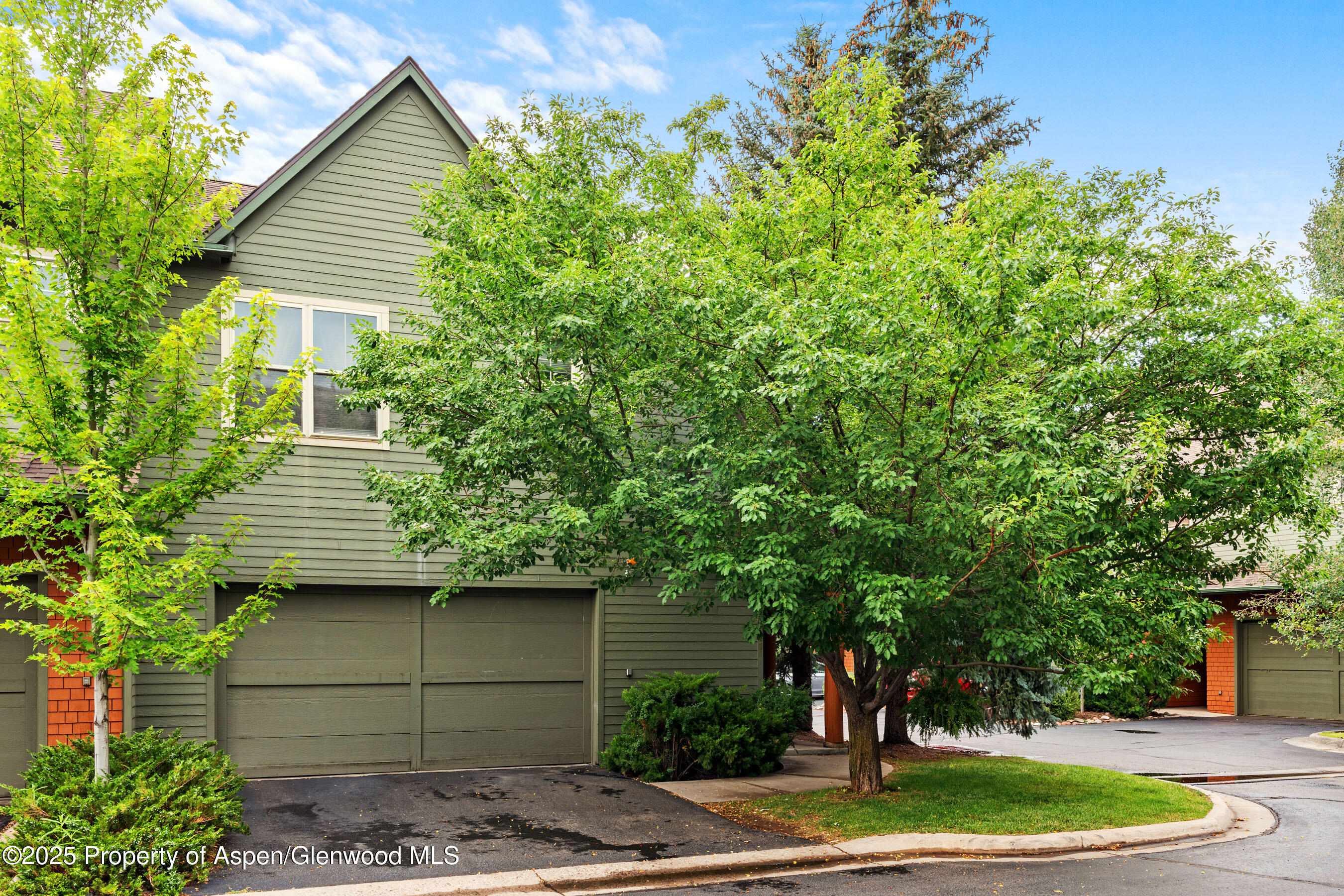 541 Evans Court Basalt CO 81621