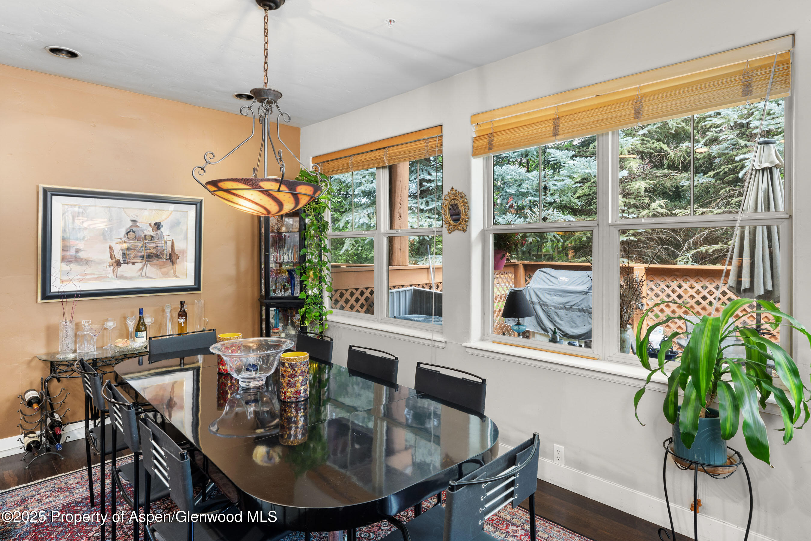 541 Evans Court Basalt CO 81621