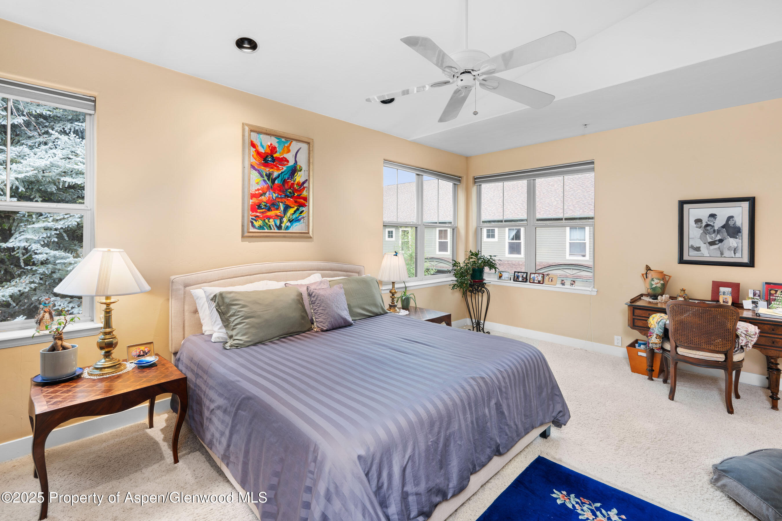 541 Evans Court Basalt CO 81621