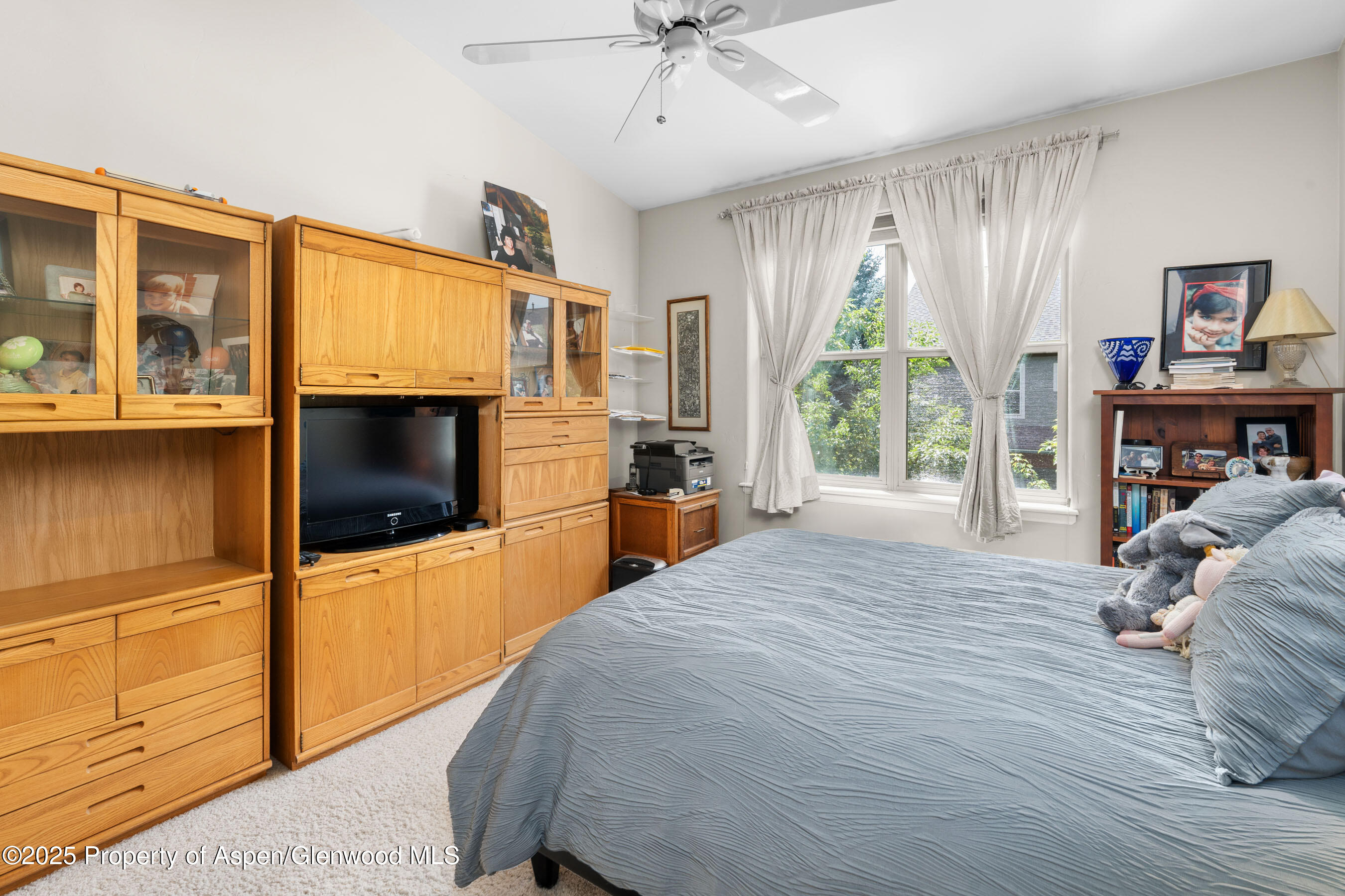 541 Evans Court Basalt CO 81621