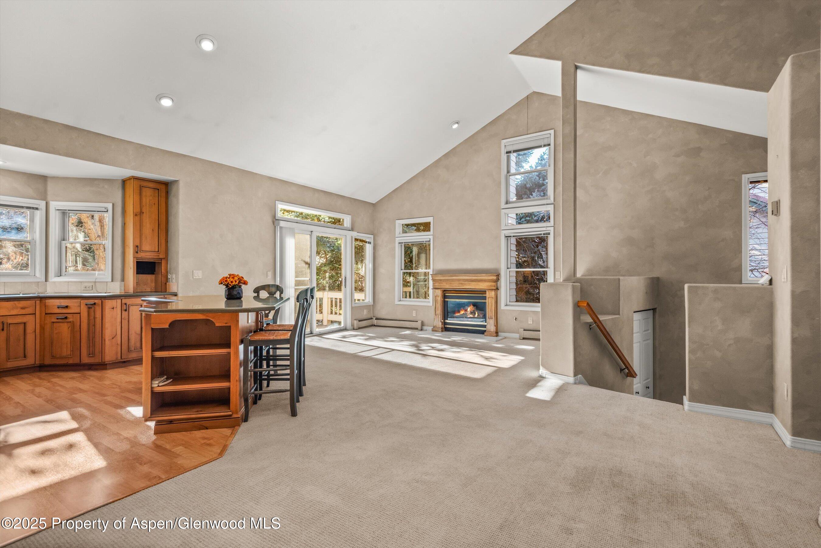 1508 Mockingbird Lane Basalt CO 81621