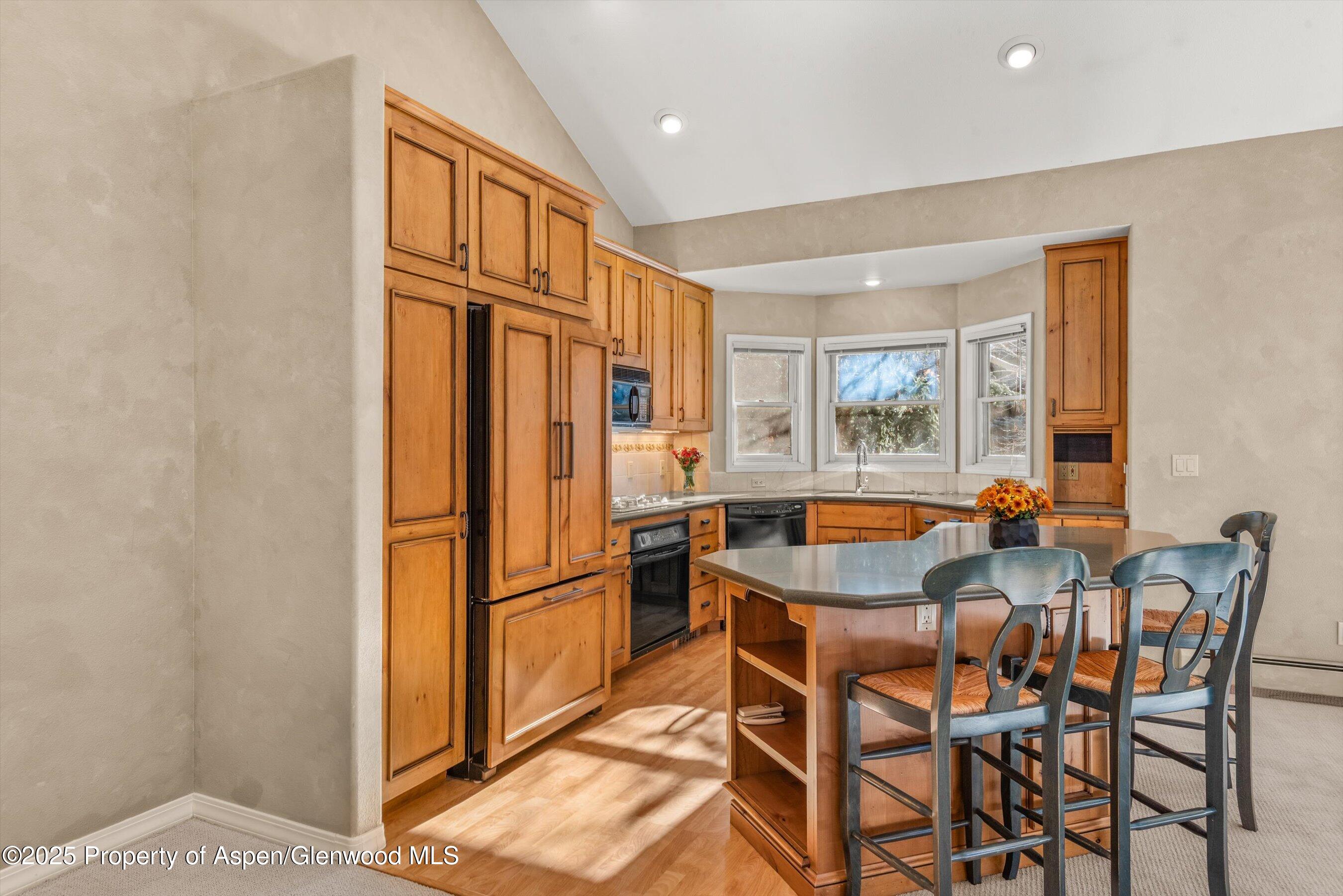 1508 Mockingbird Lane Basalt CO 81621