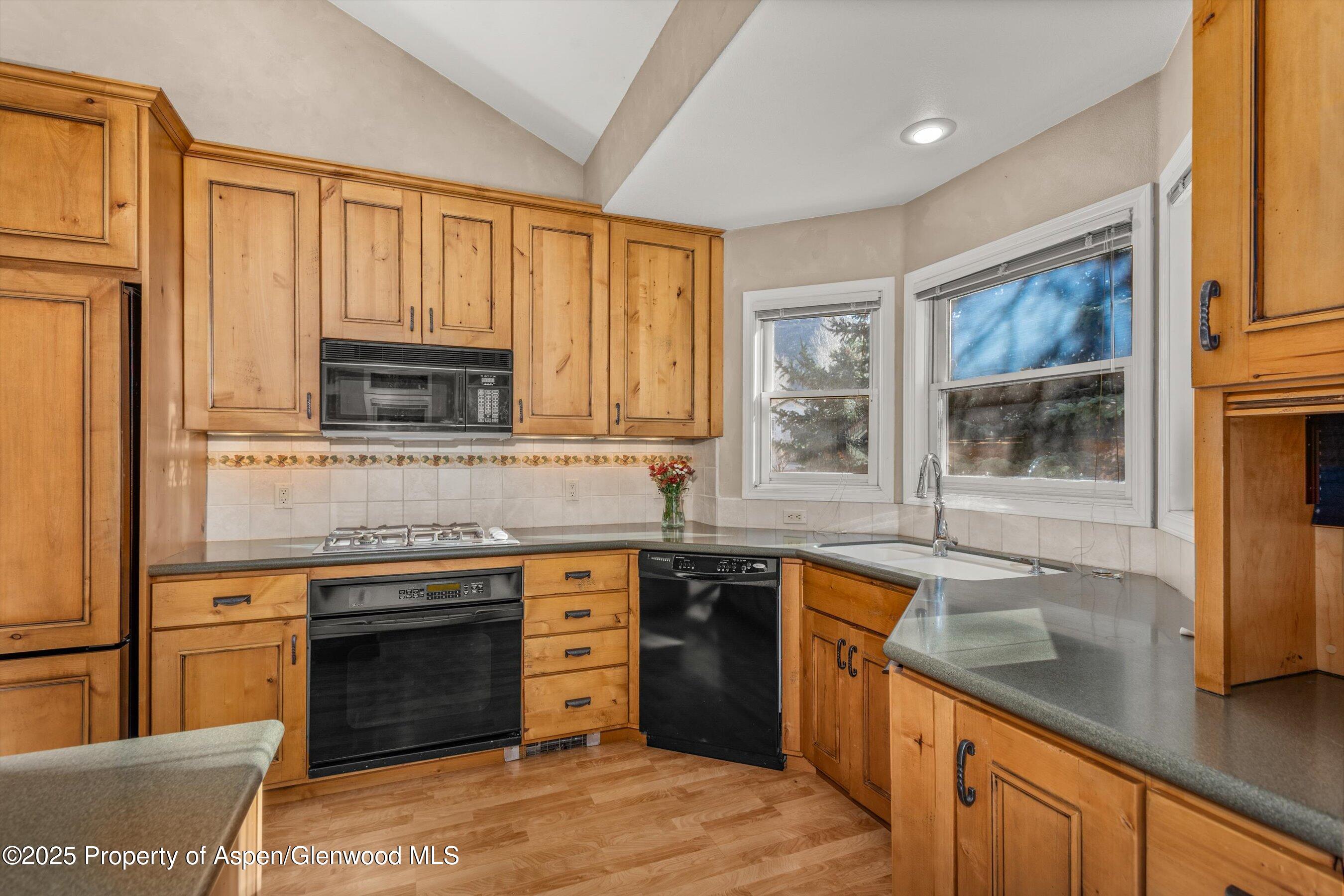 1508 Mockingbird Lane Basalt CO 81621