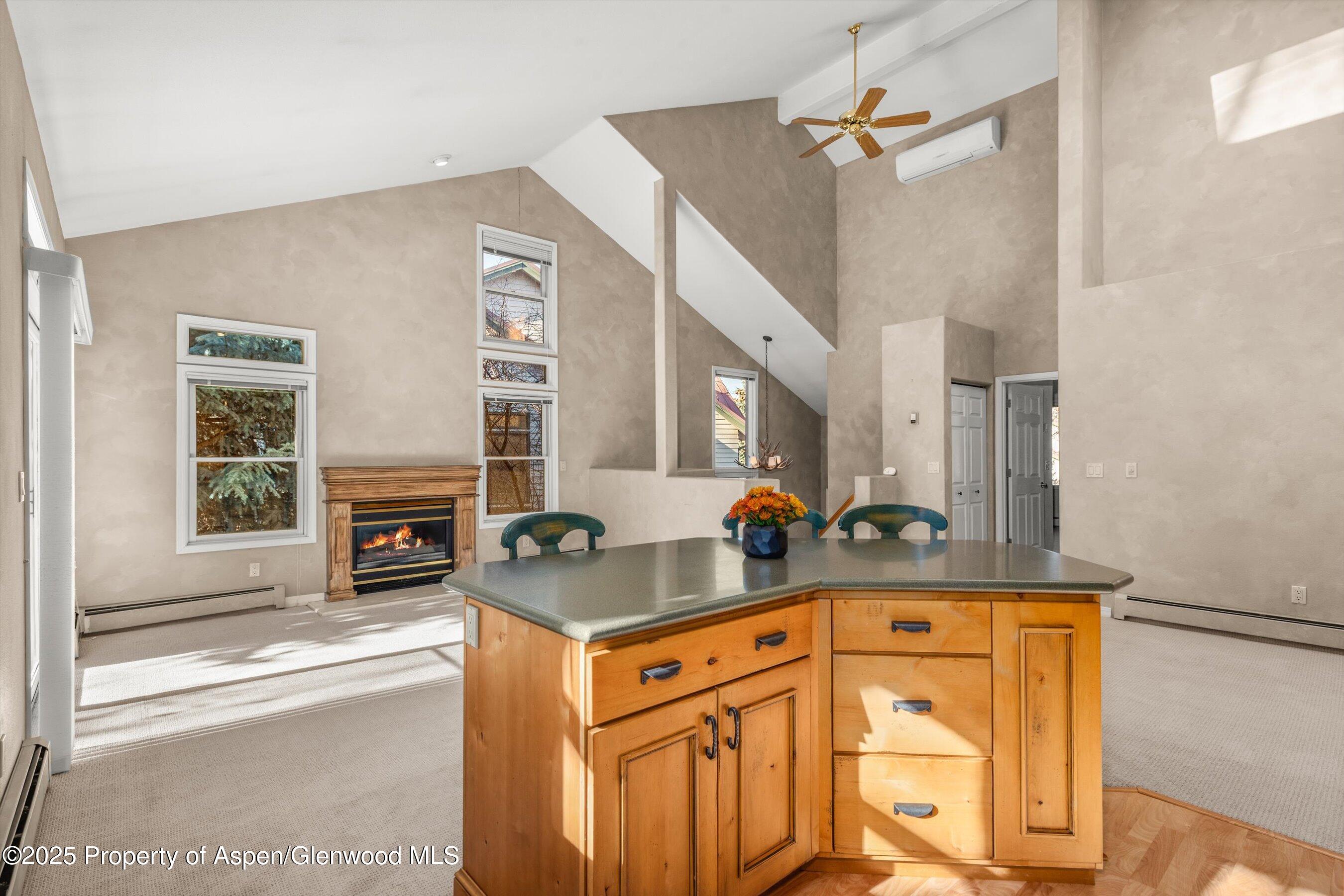 1508 Mockingbird Lane Basalt CO 81621