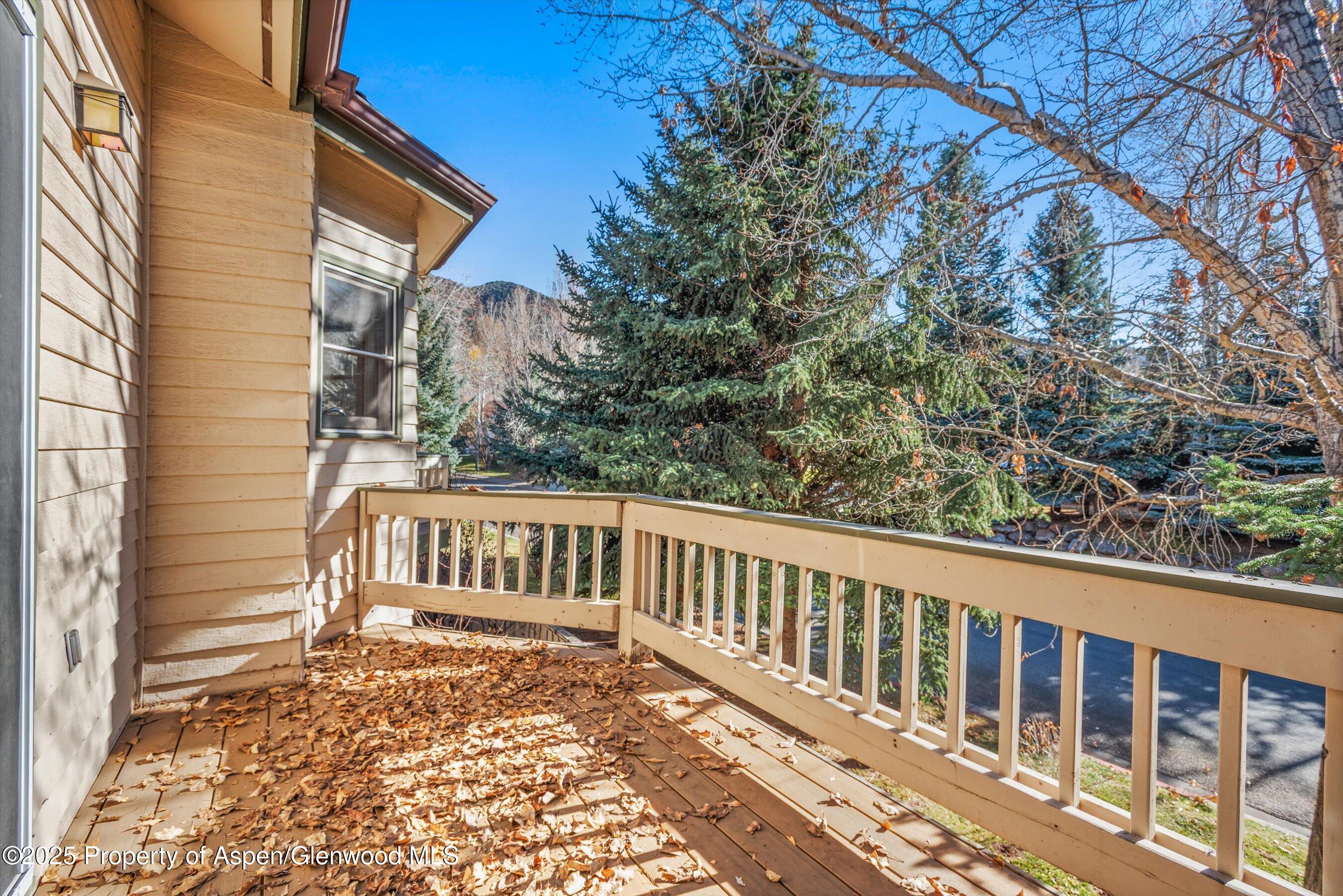 1508 Mockingbird Lane Basalt CO 81621