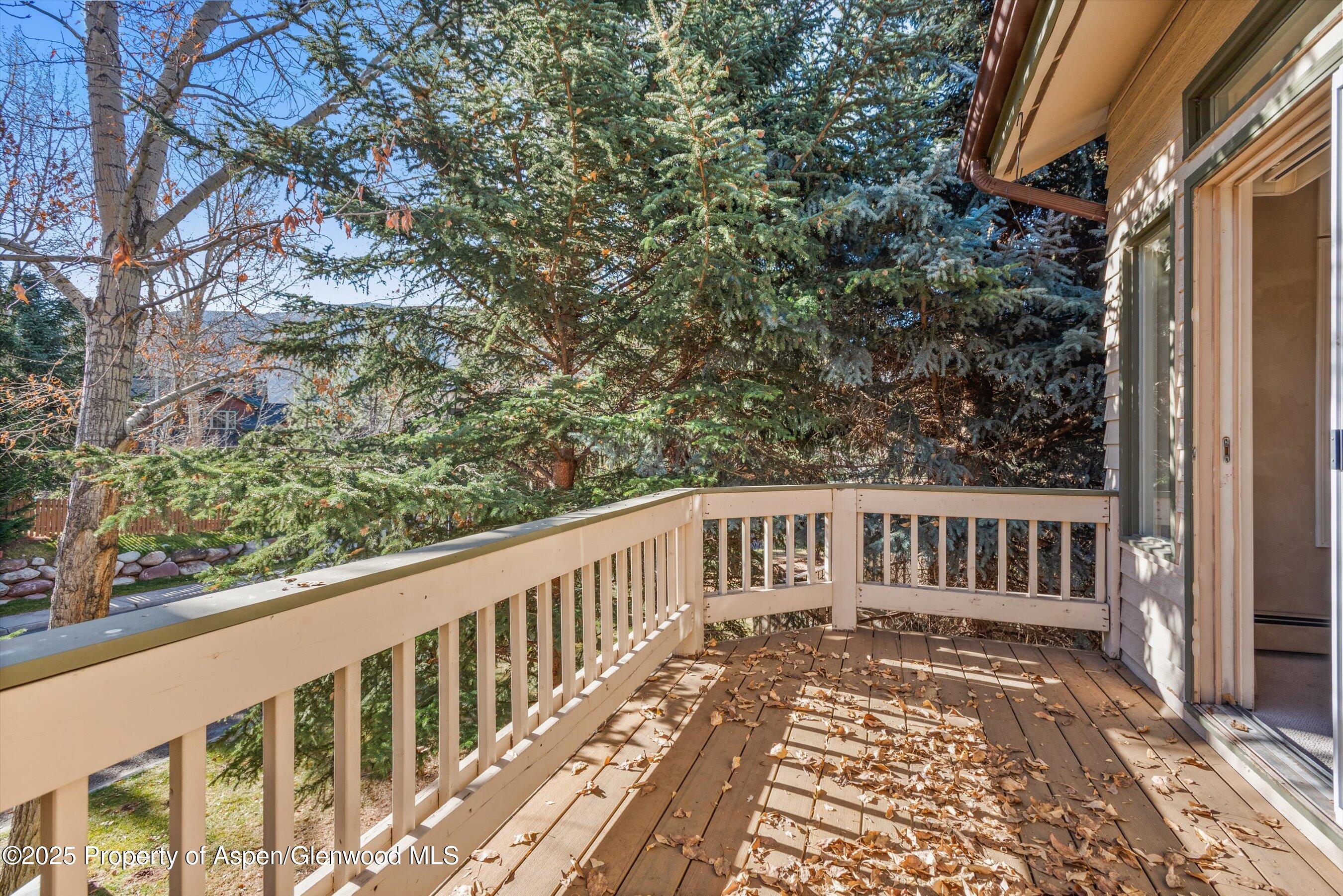 1508 Mockingbird Lane Basalt CO 81621