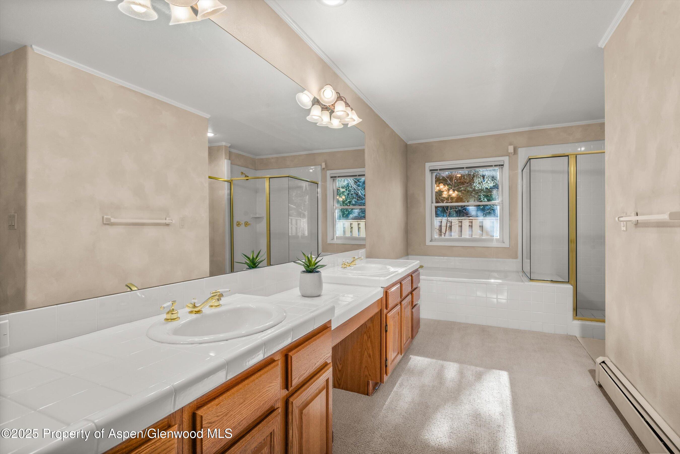 1508 Mockingbird Lane Basalt CO 81621