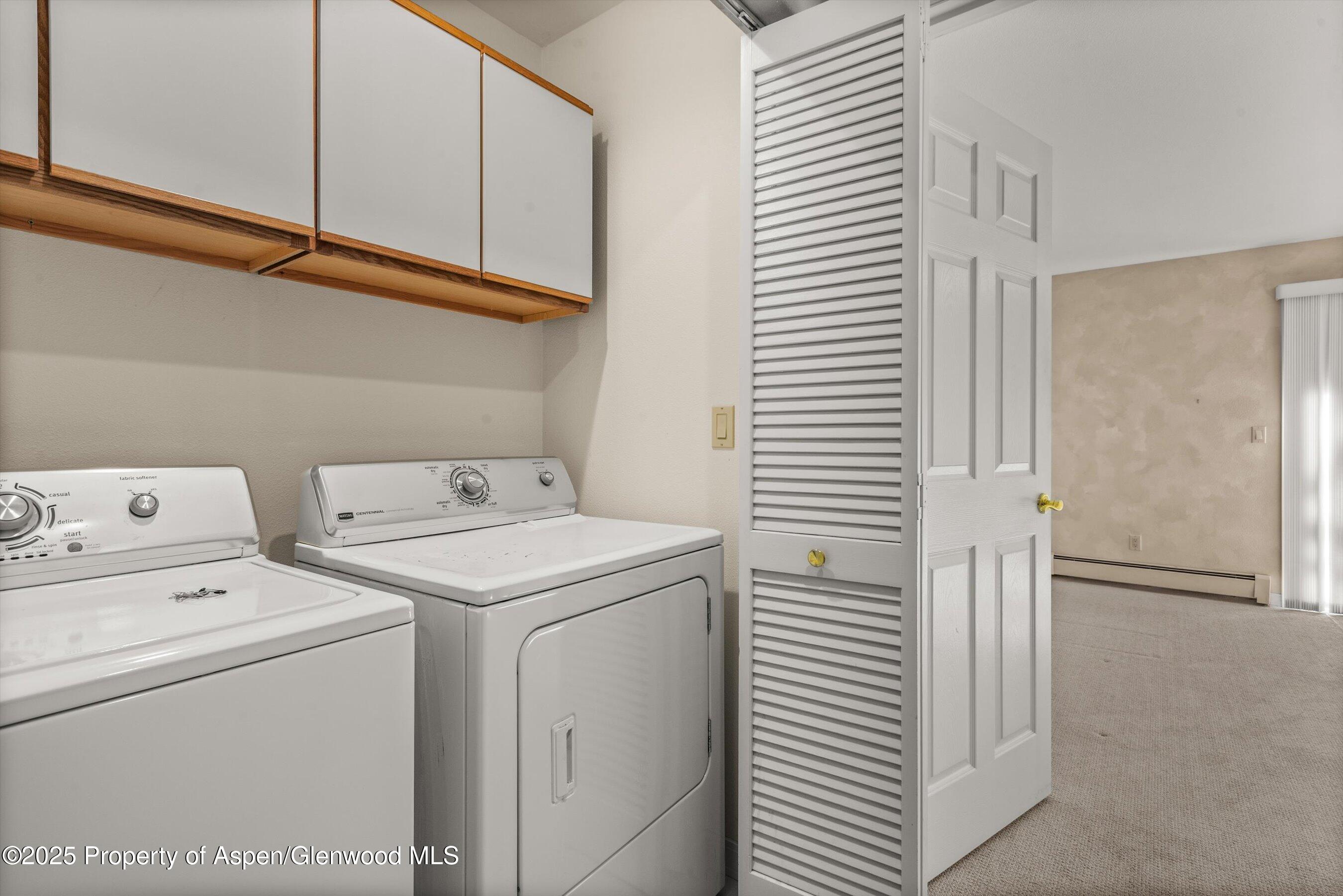 1508 Mockingbird Lane Basalt CO 81621