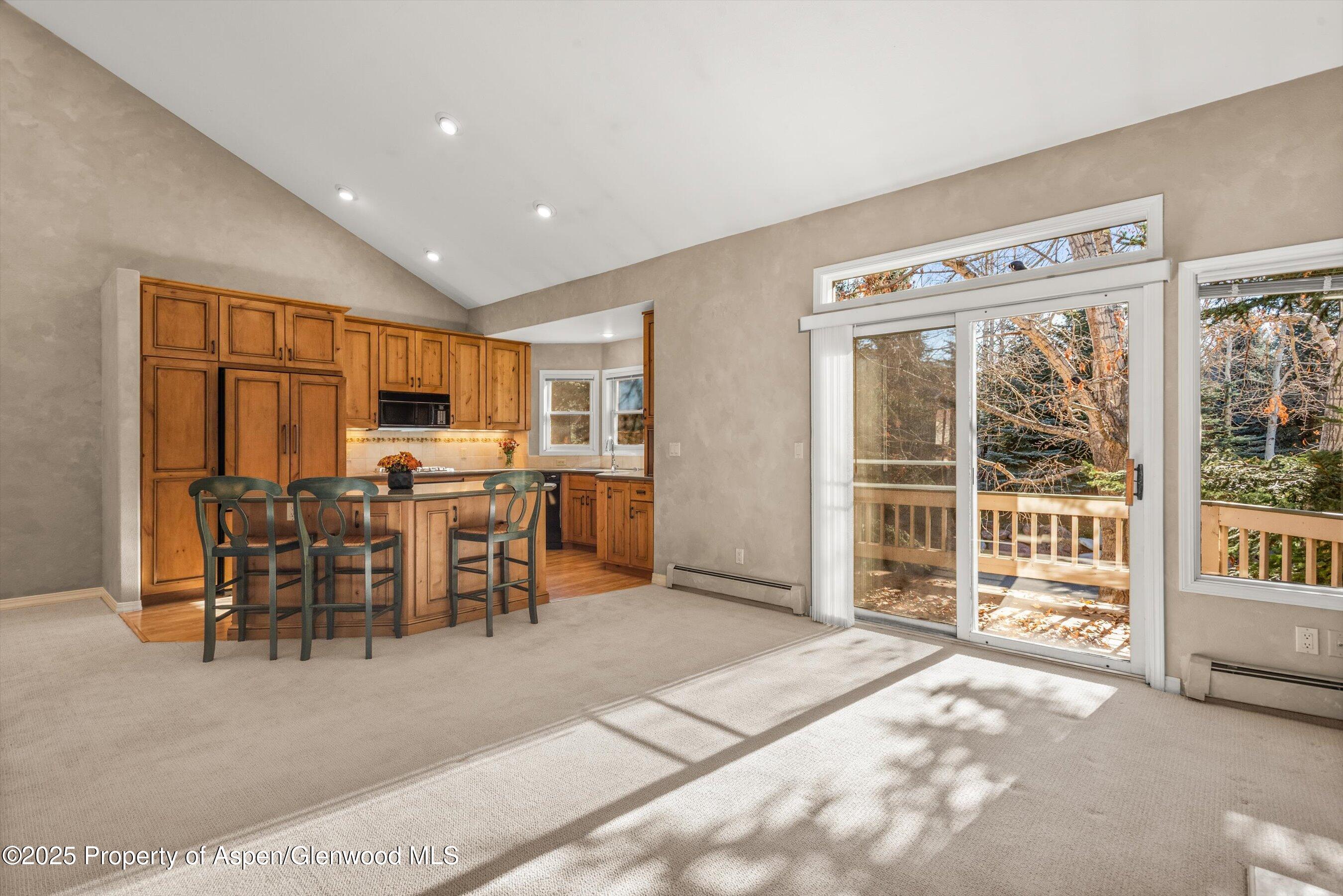 1508 Mockingbird Lane Basalt CO 81621