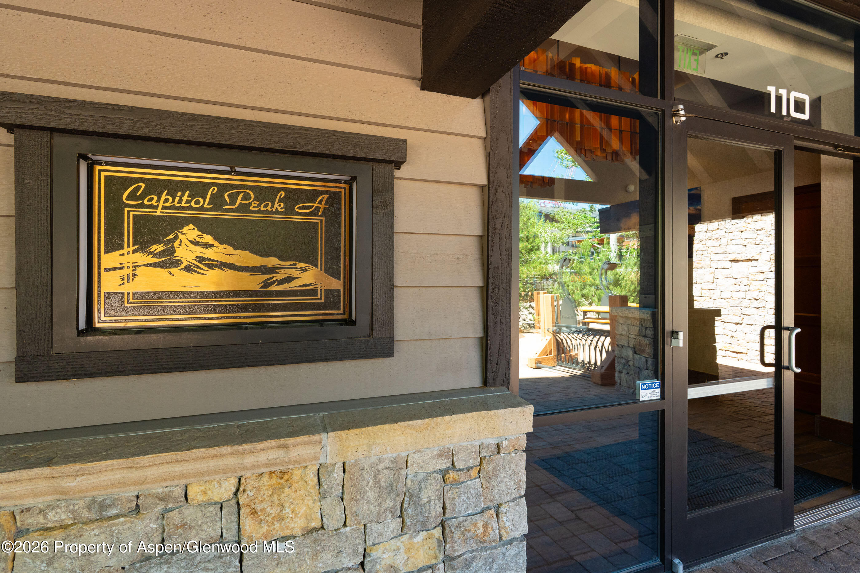 110 Carriage Way Snowmass Village CO 81615