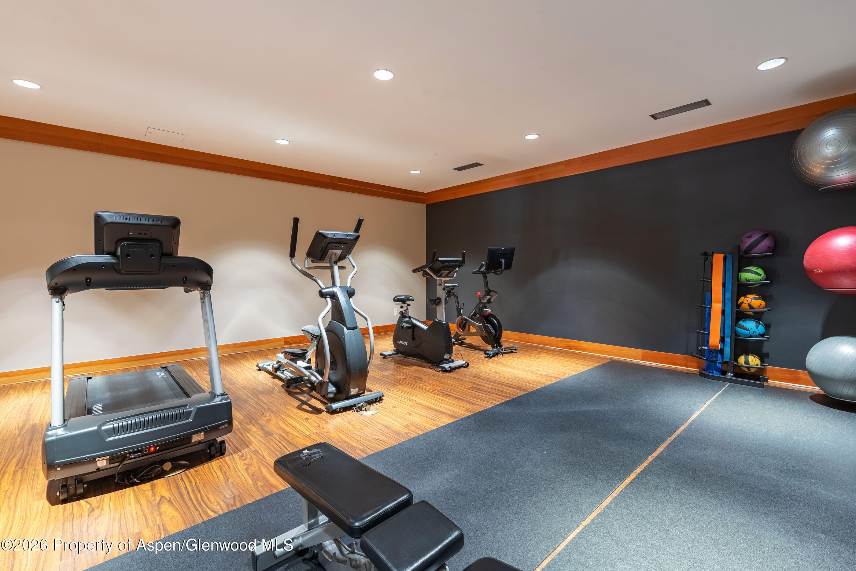 110 Carriage Way Snowmass Village CO 81615