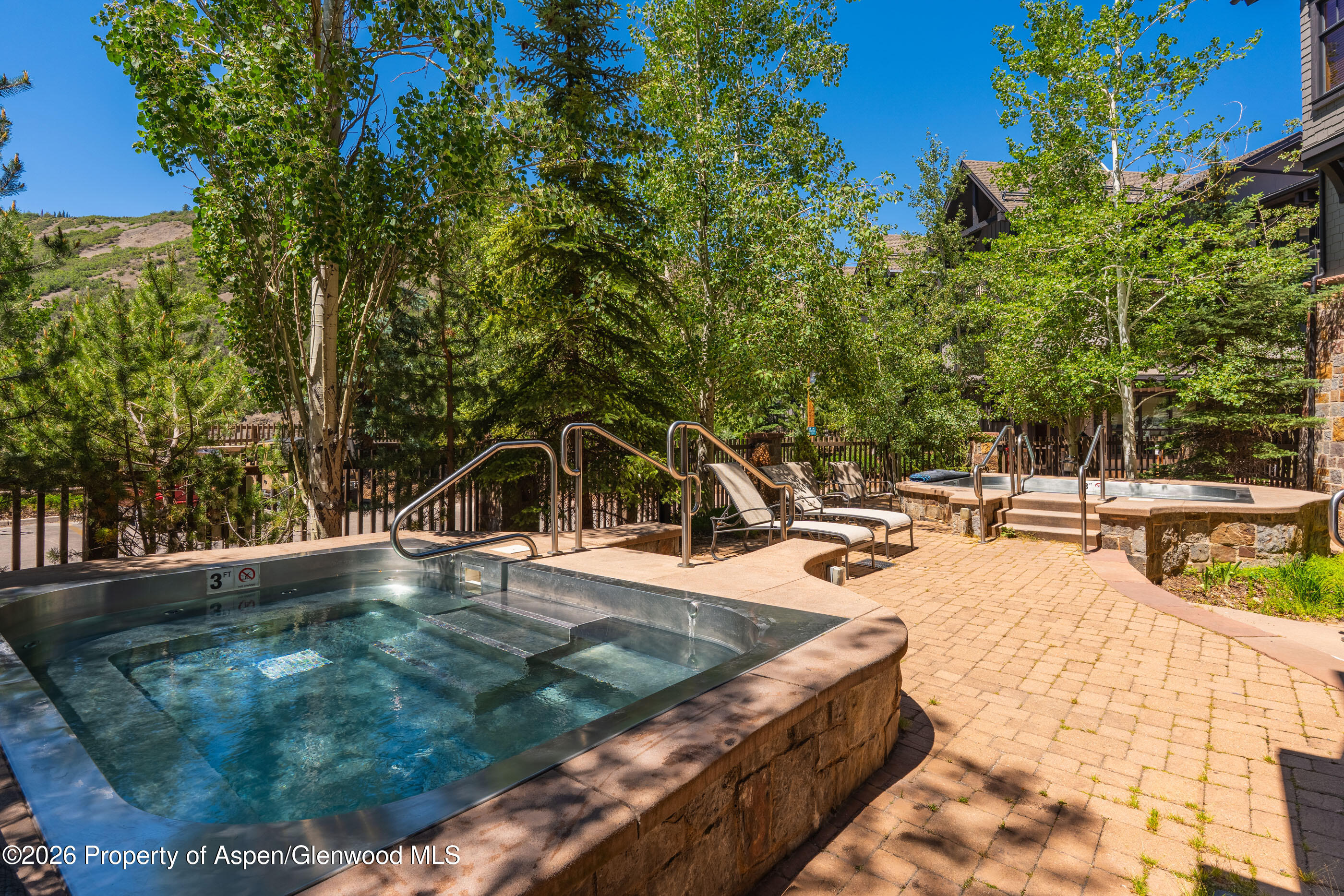 110 Carriage Way Snowmass Village CO 81615