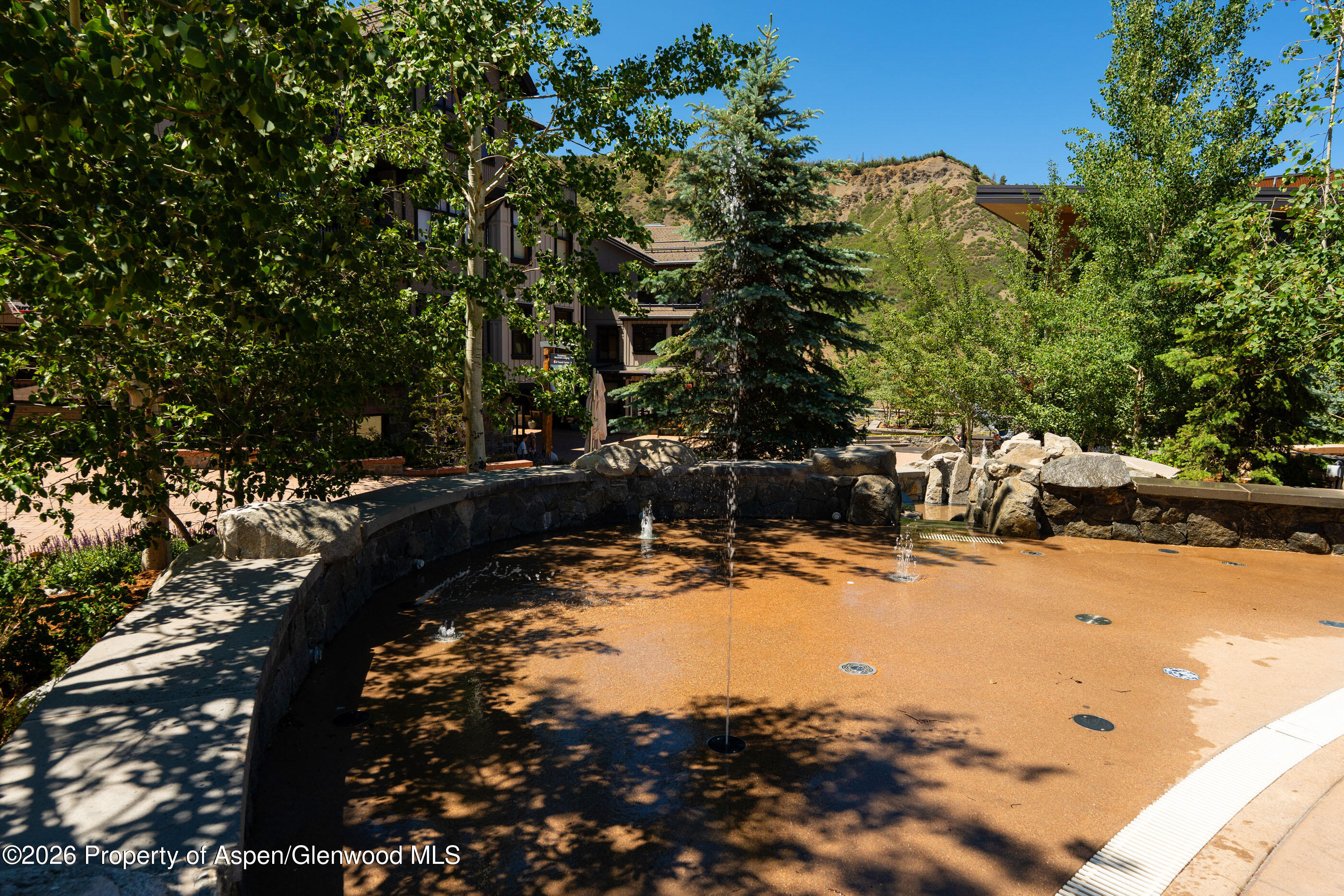 110 Carriage Way Snowmass Village CO 81615