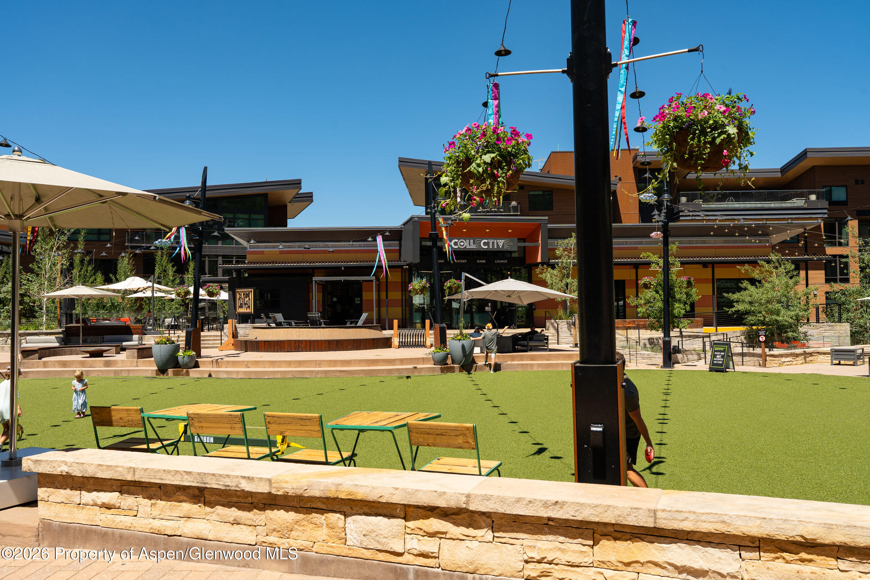 110 Carriage Way Snowmass Village CO 81615