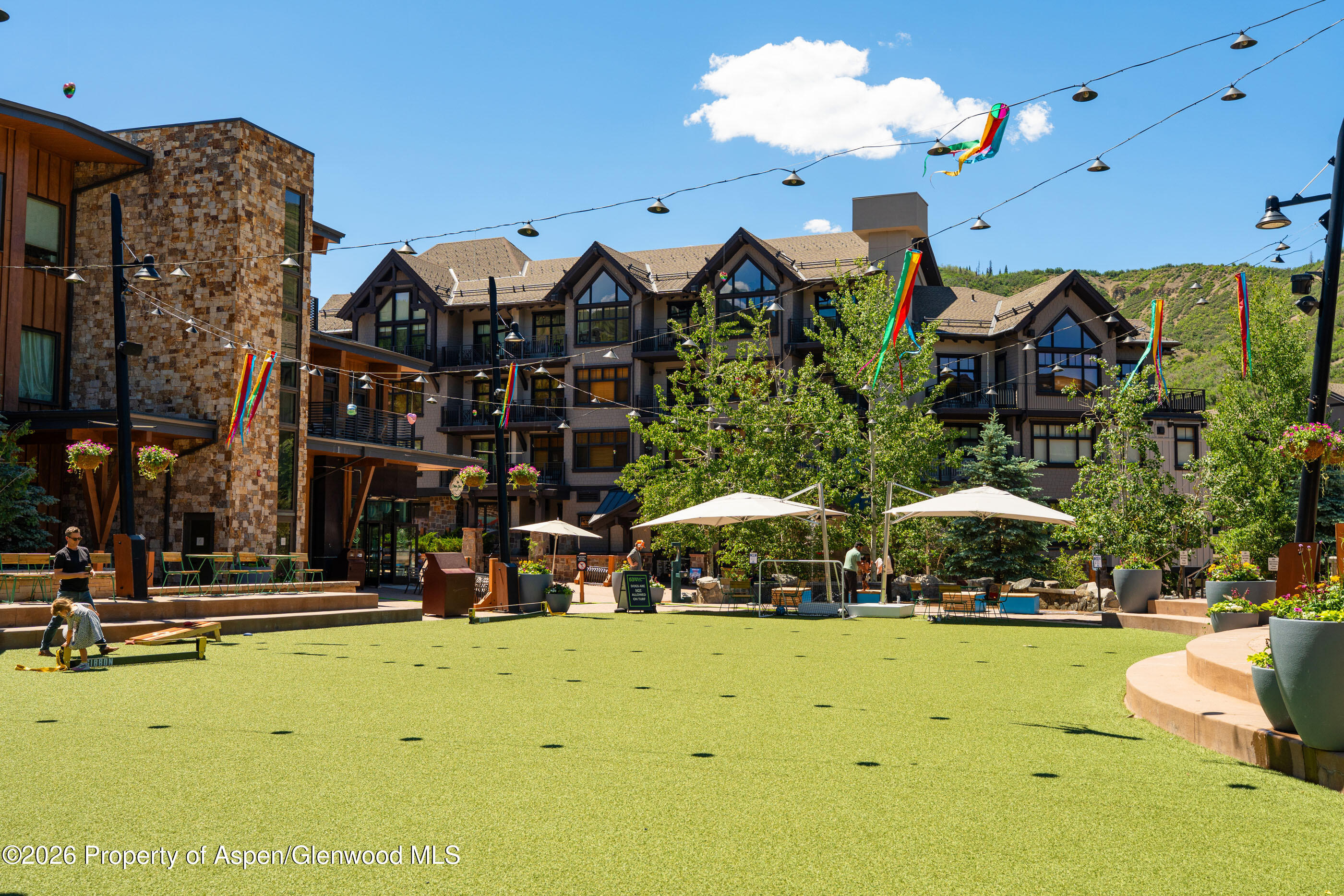 110 Carriage Way Snowmass Village CO 81615