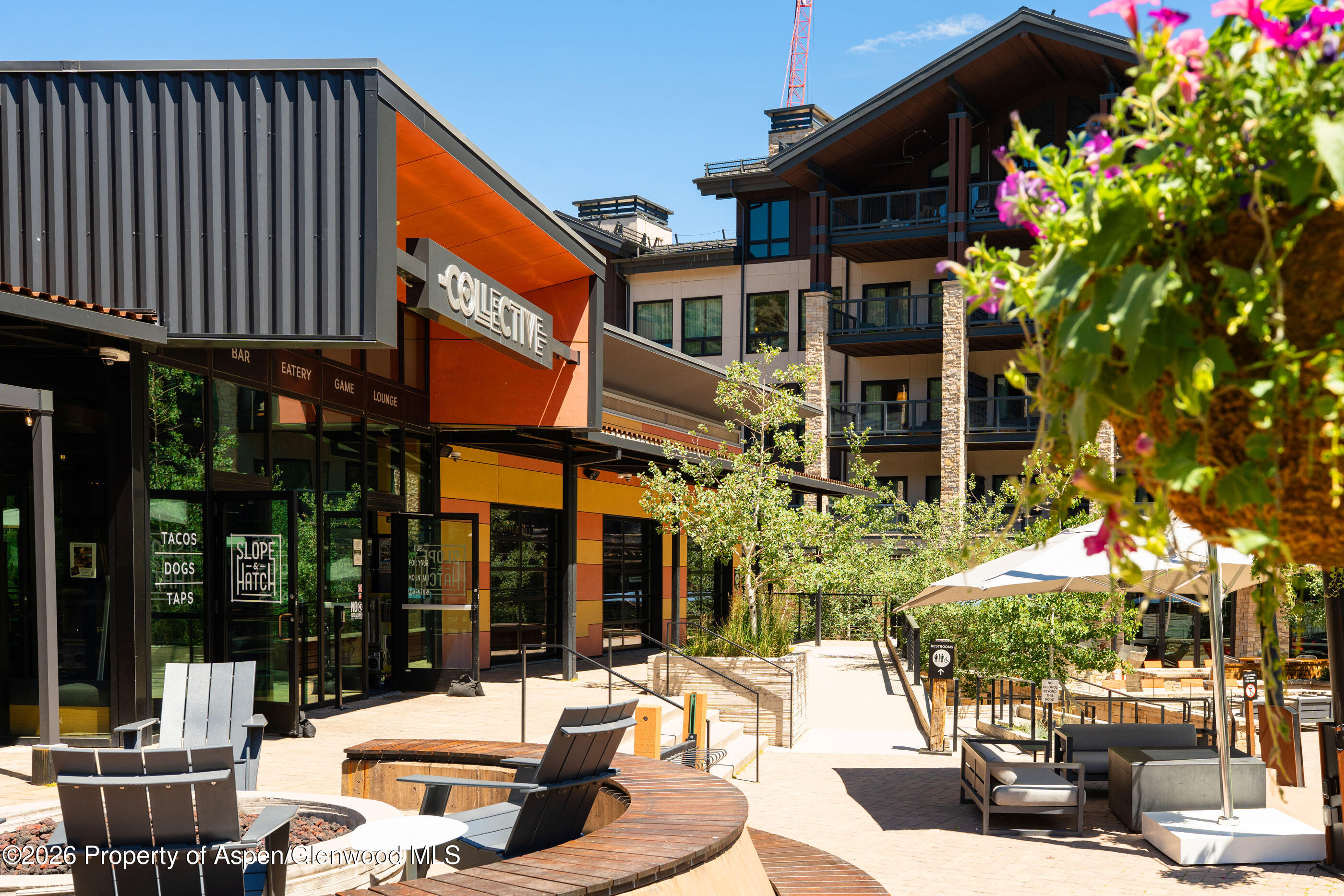 110 Carriage Way Snowmass Village CO 81615
