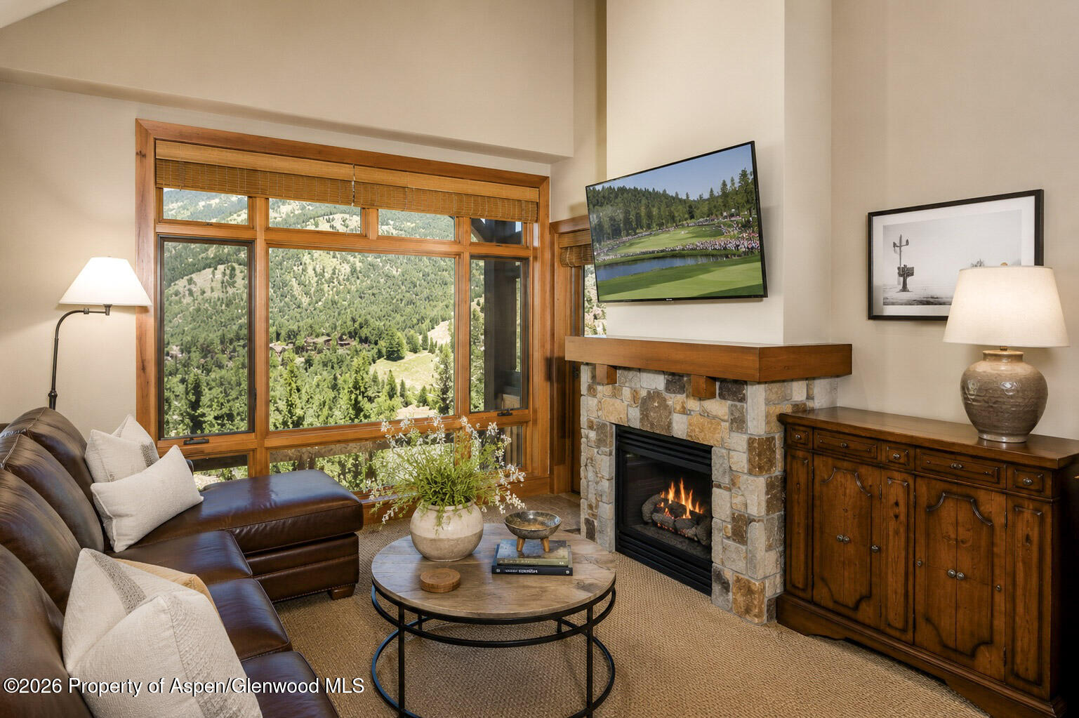 110 Carriage Way Snowmass Village CO 81615