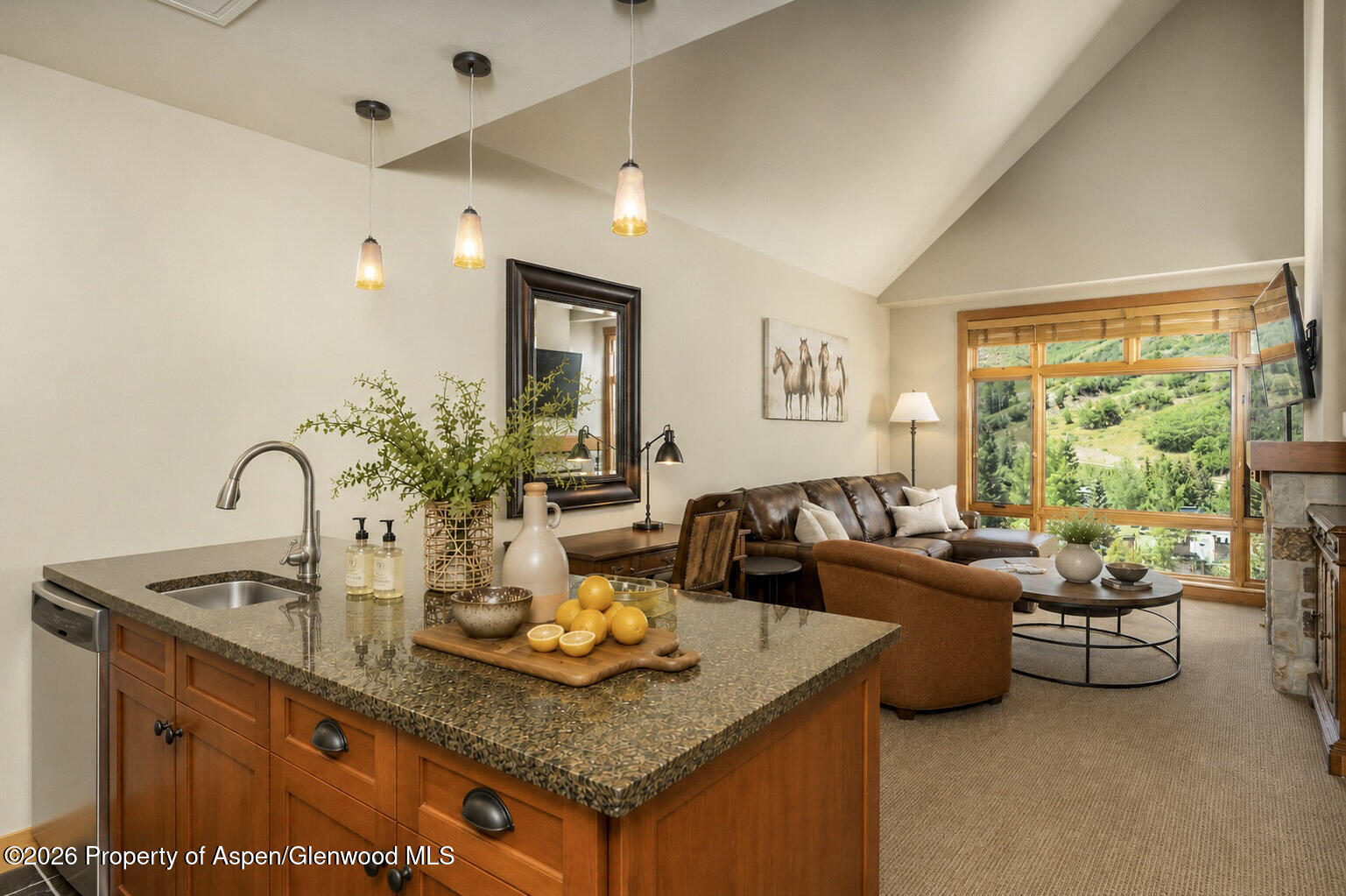 110 Carriage Way Snowmass Village CO 81615