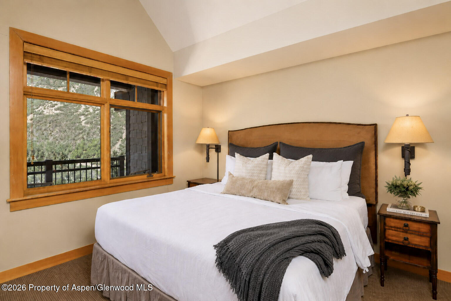 110 Carriage Way Snowmass Village CO 81615