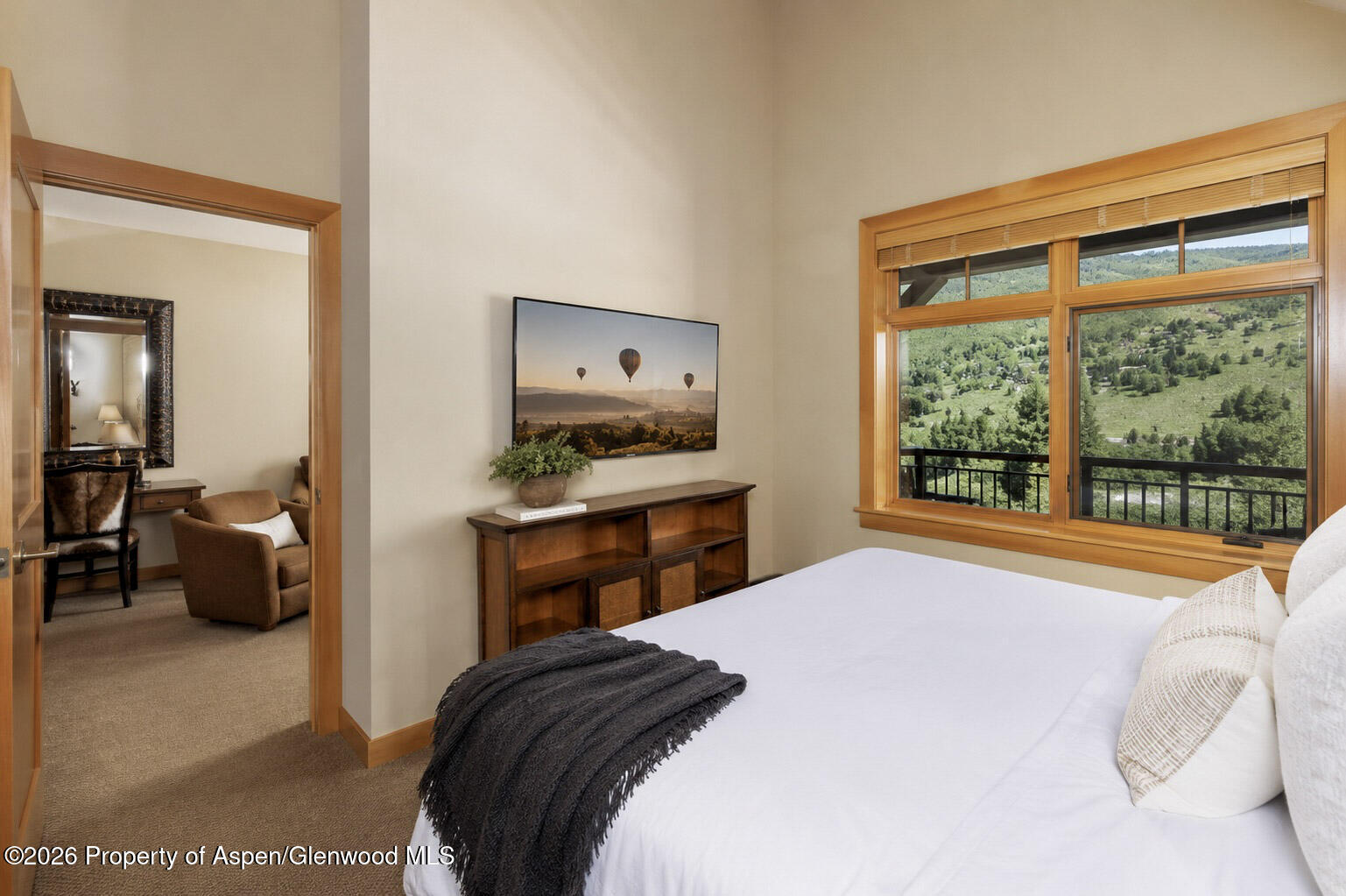 110 Carriage Way Snowmass Village CO 81615