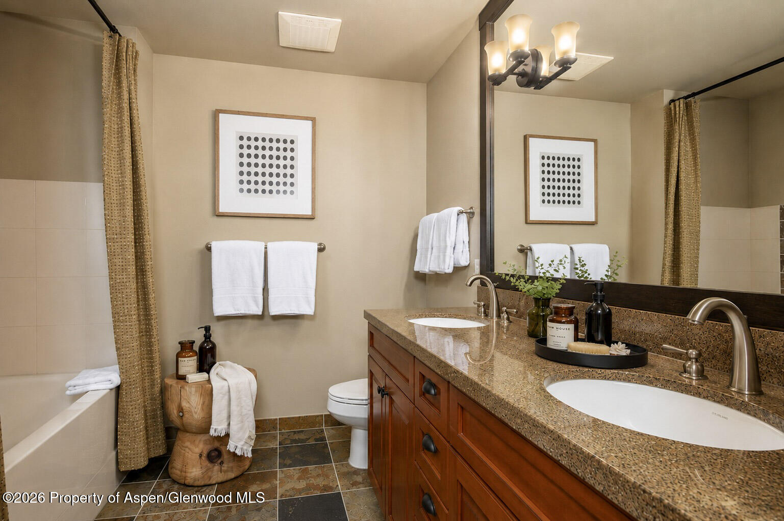 110 Carriage Way Snowmass Village CO 81615