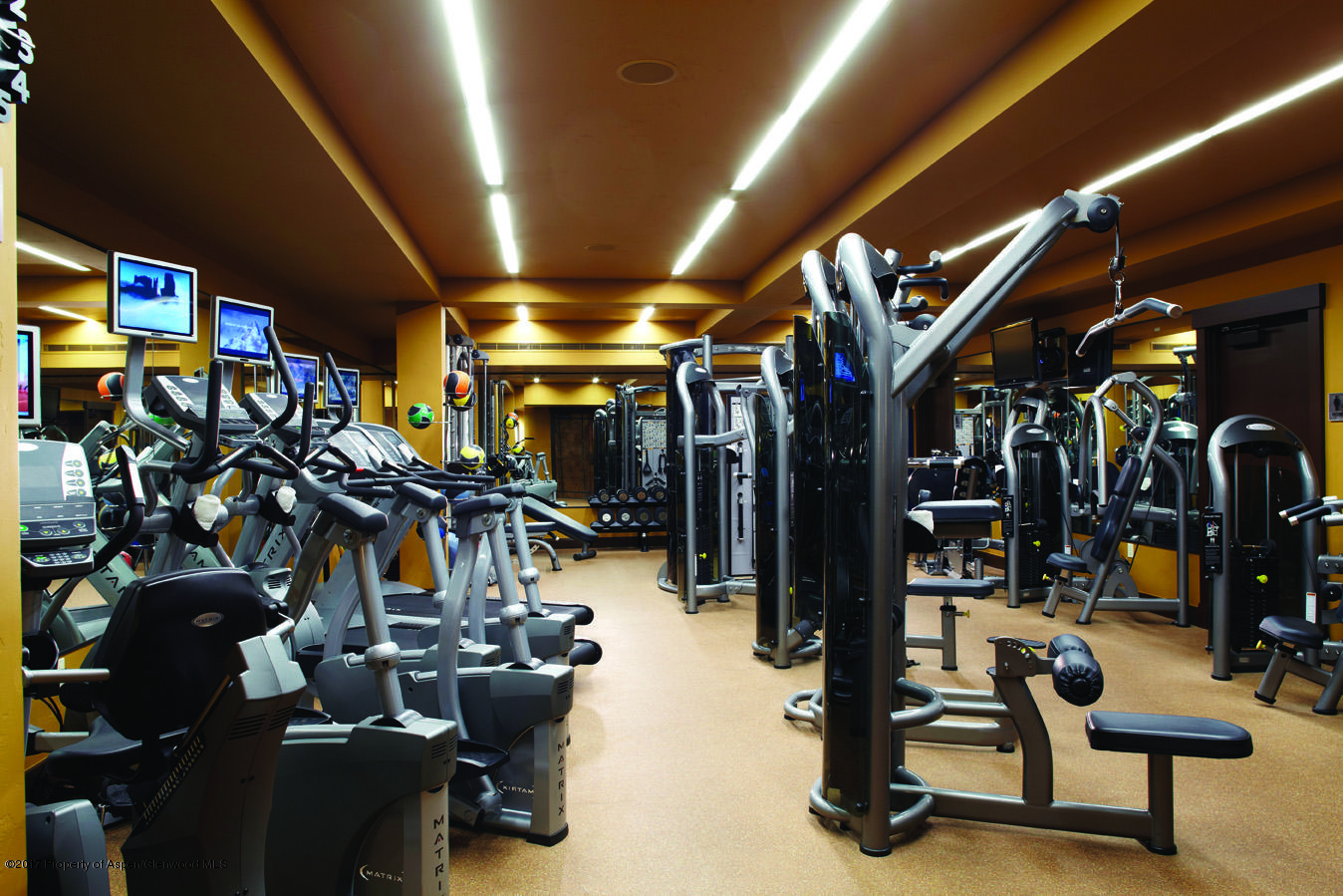 411 S Monarch Street Aspen CO 81611