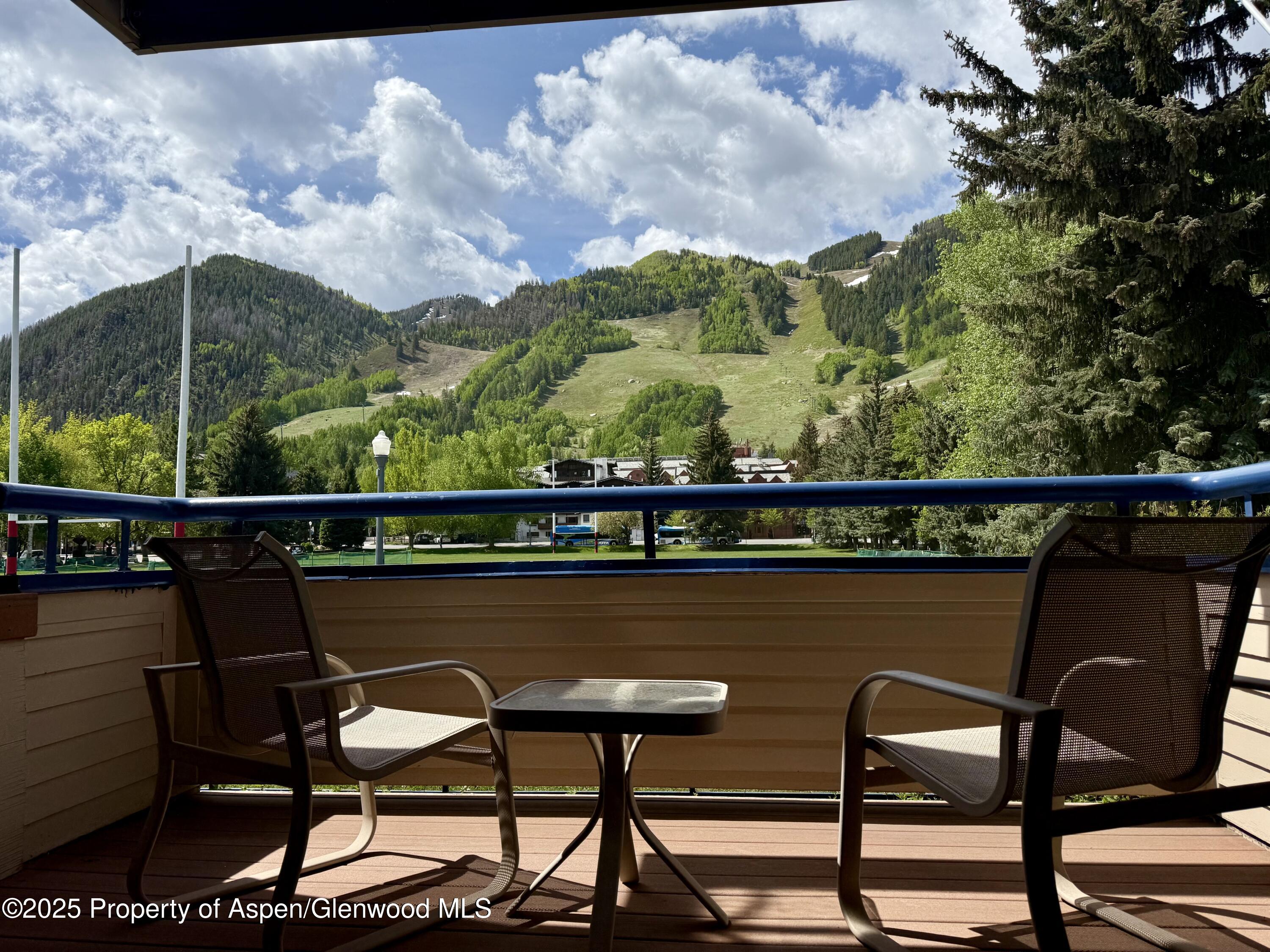 301 E Hyman Avenue Aspen CO 81611