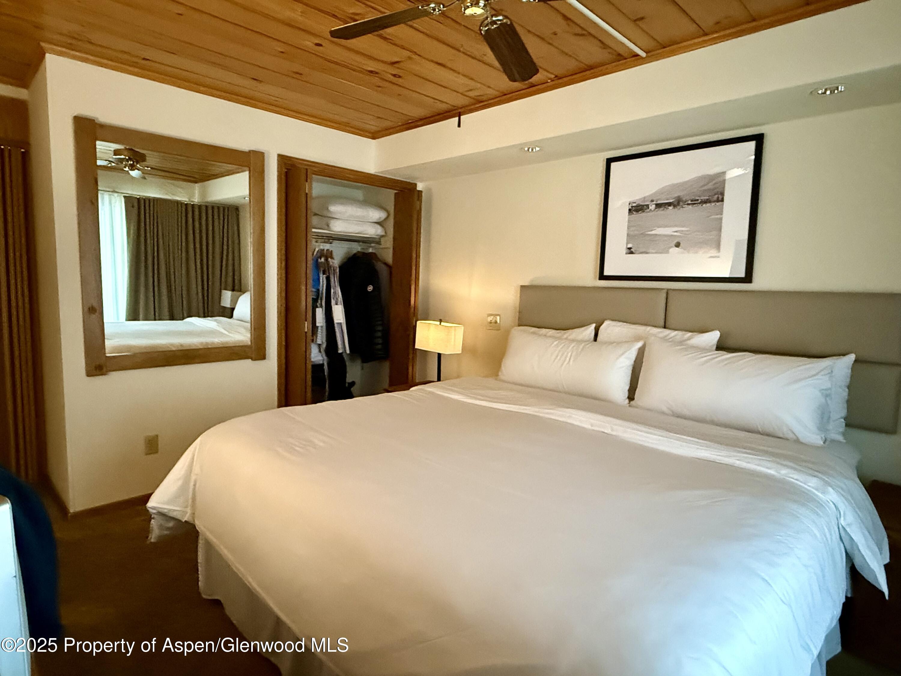 301 E Hyman Avenue Aspen CO 81611