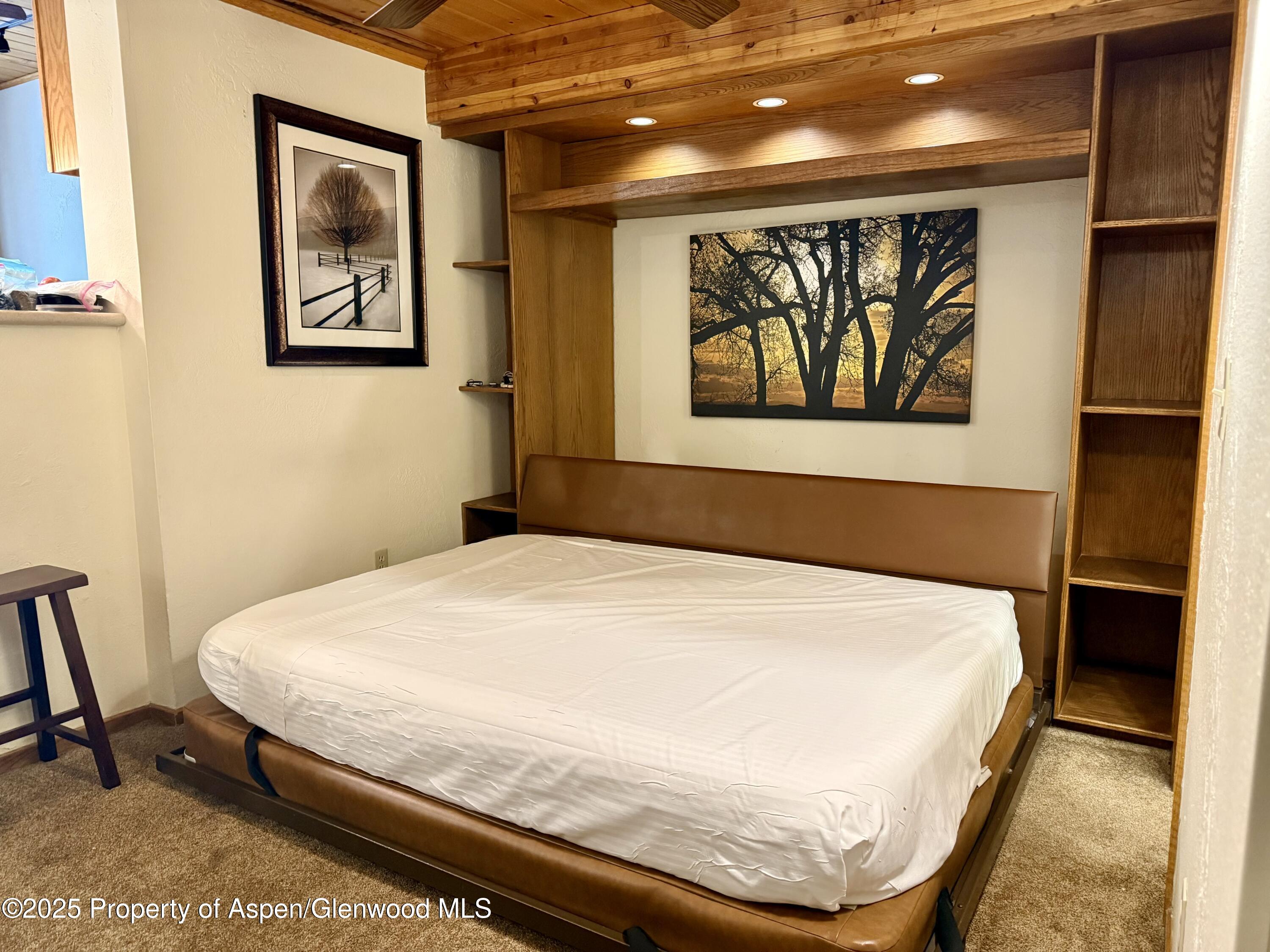 301 E Hyman Avenue Aspen CO 81611