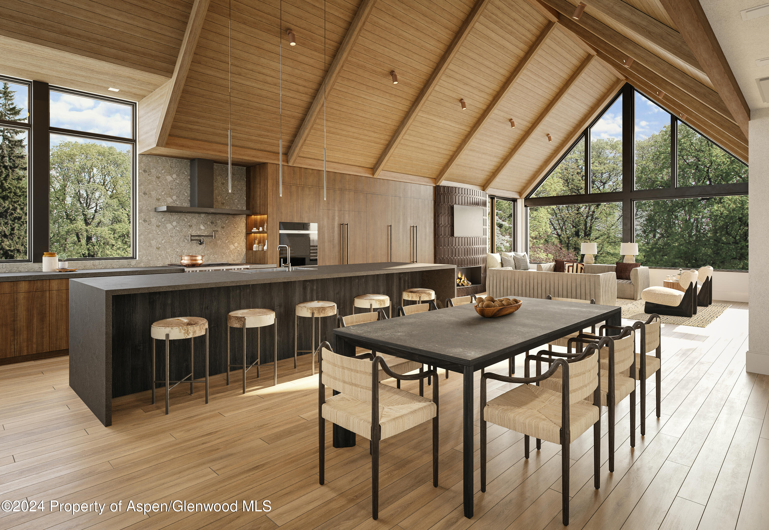 115 W Bleeker Street Aspen CO 81611