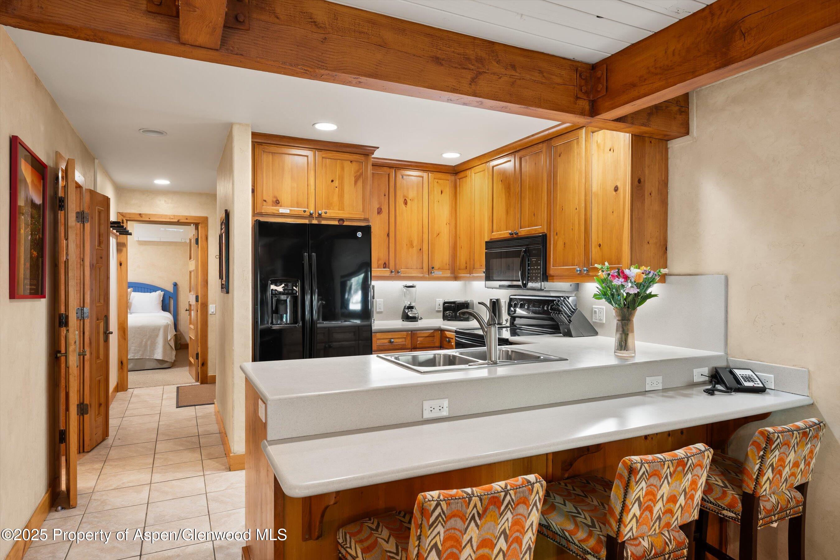 610 S West End Street Aspen CO 81611