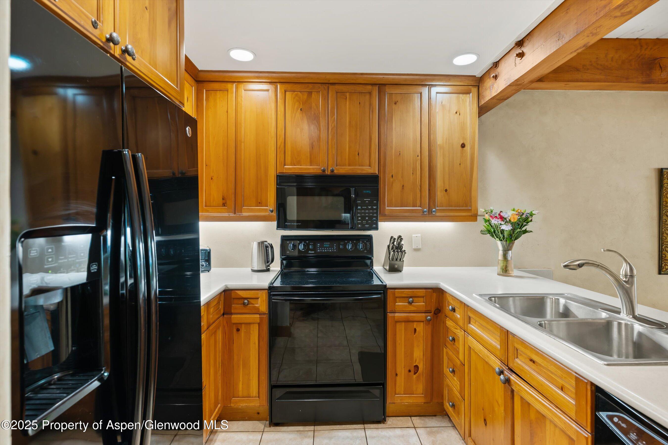 610 S West End Street Aspen CO 81611