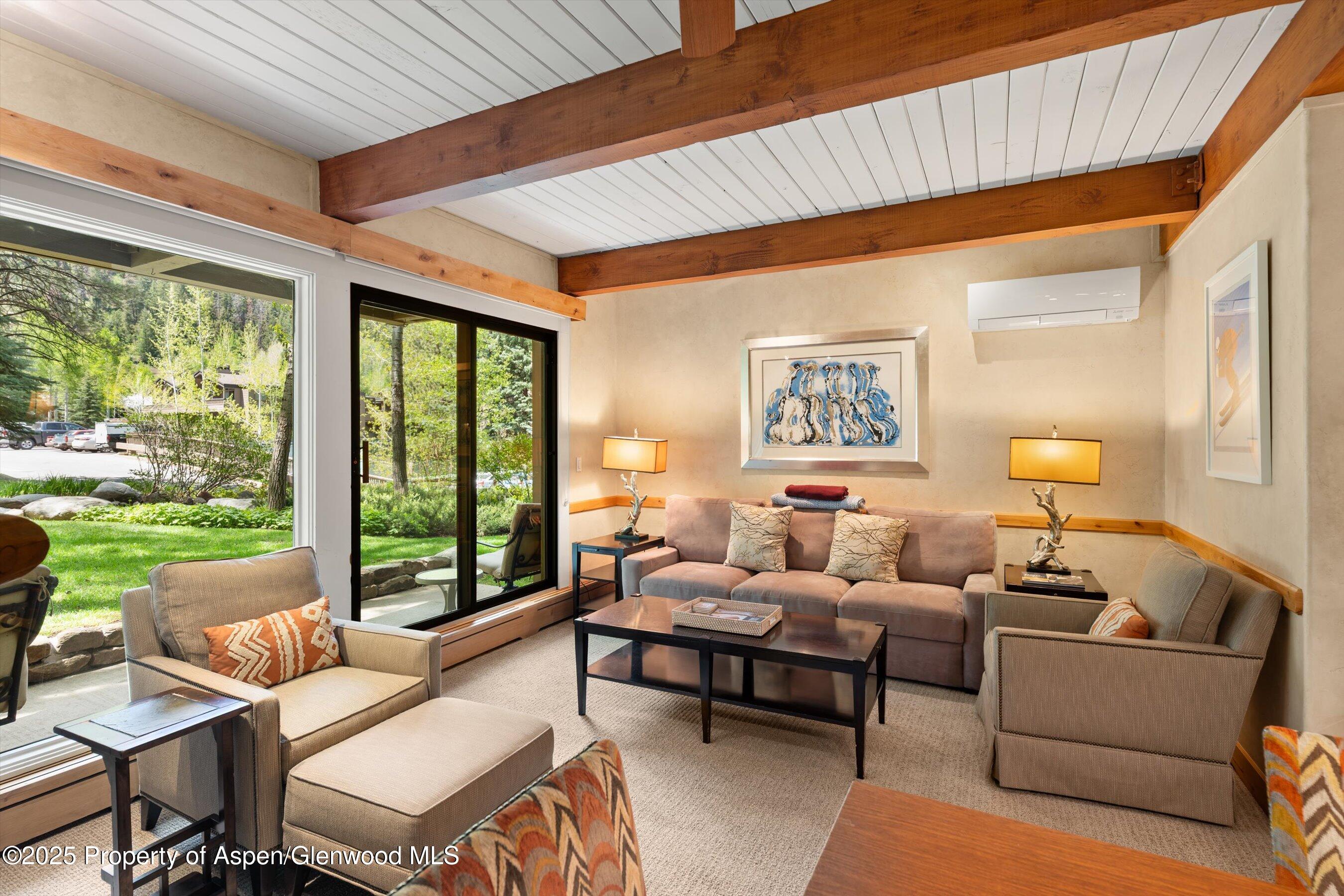 610 S West End Street Aspen CO 81611