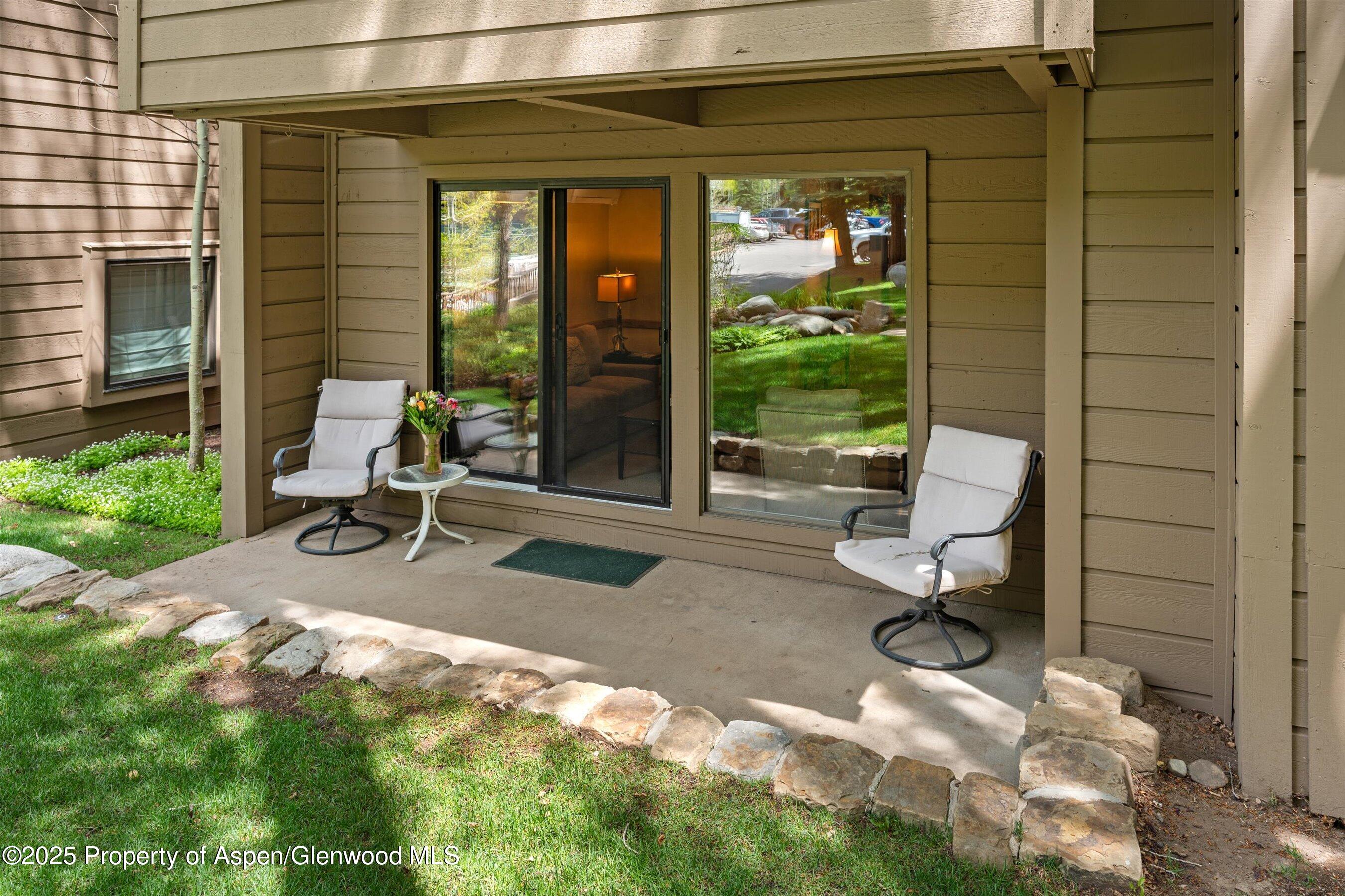 610 S West End Street Aspen CO 81611