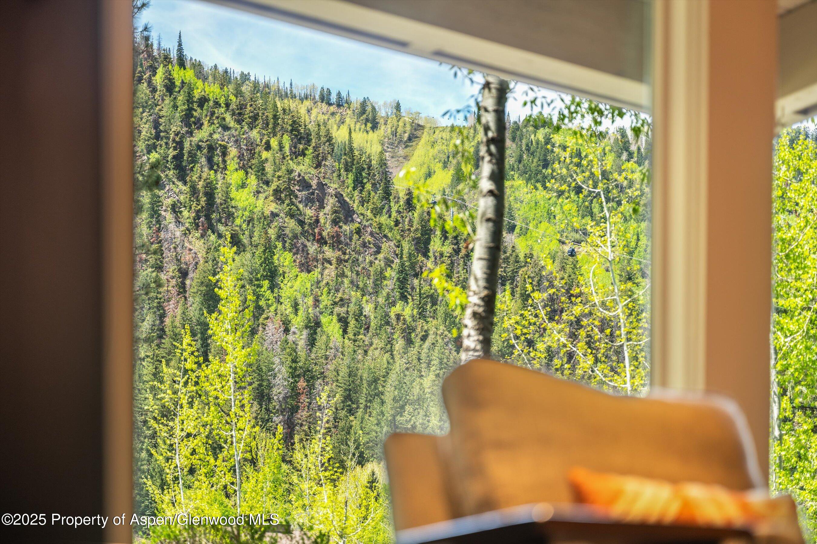 610 S West End Street Aspen CO 81611