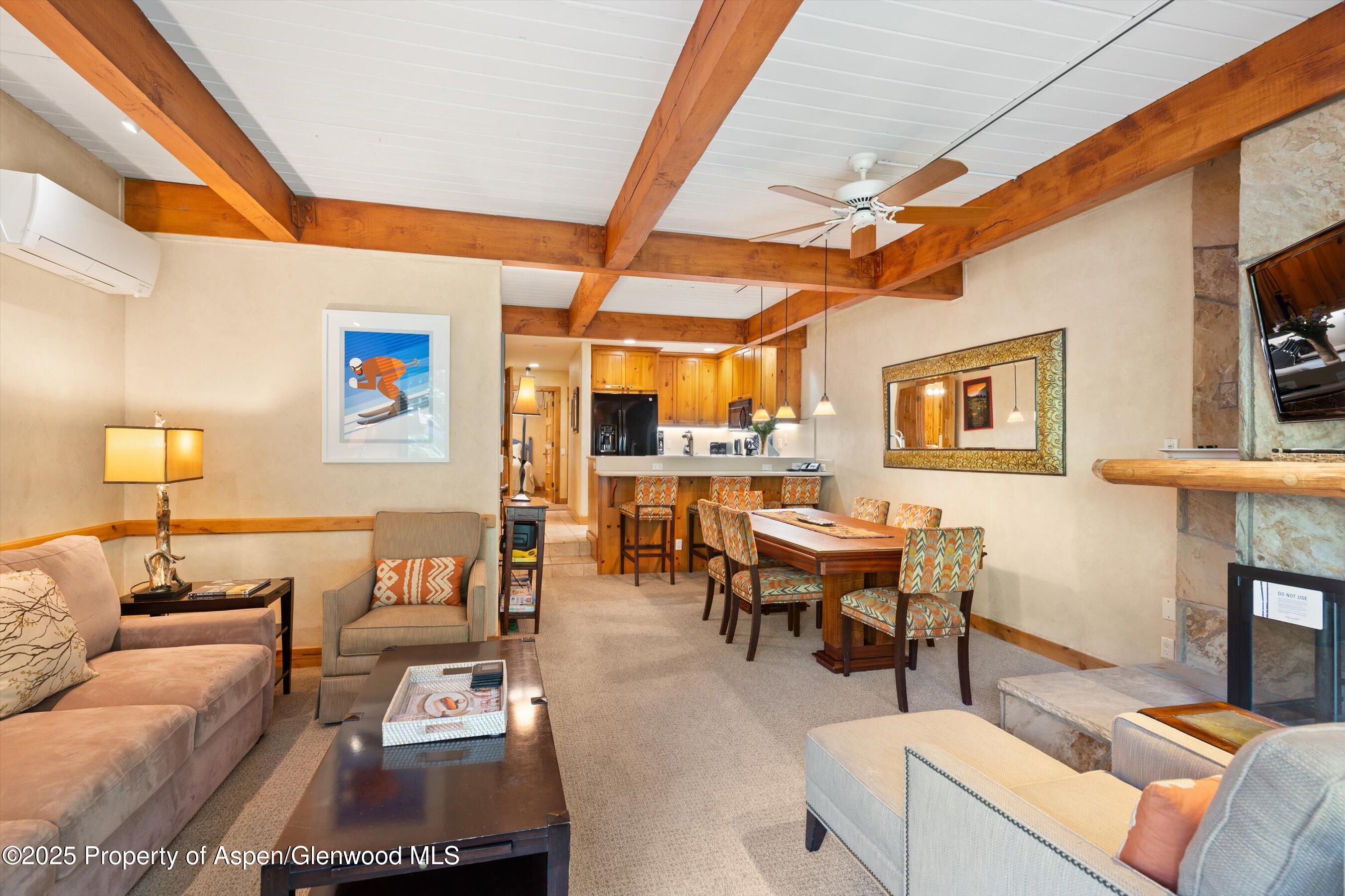 610 S West End Street Aspen CO 81611