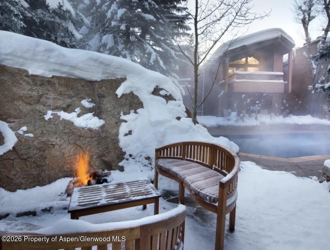 610 S West End Street Aspen CO 81611