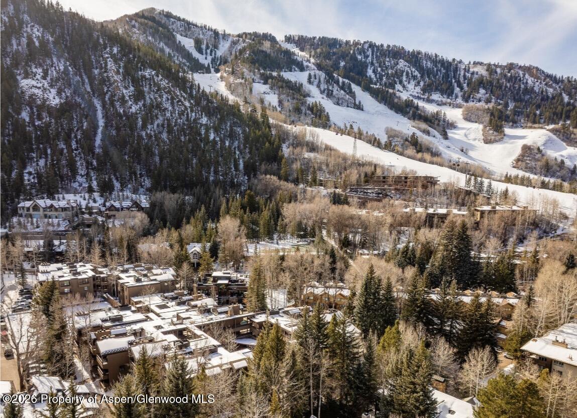 610 S West End Street Aspen CO 81611