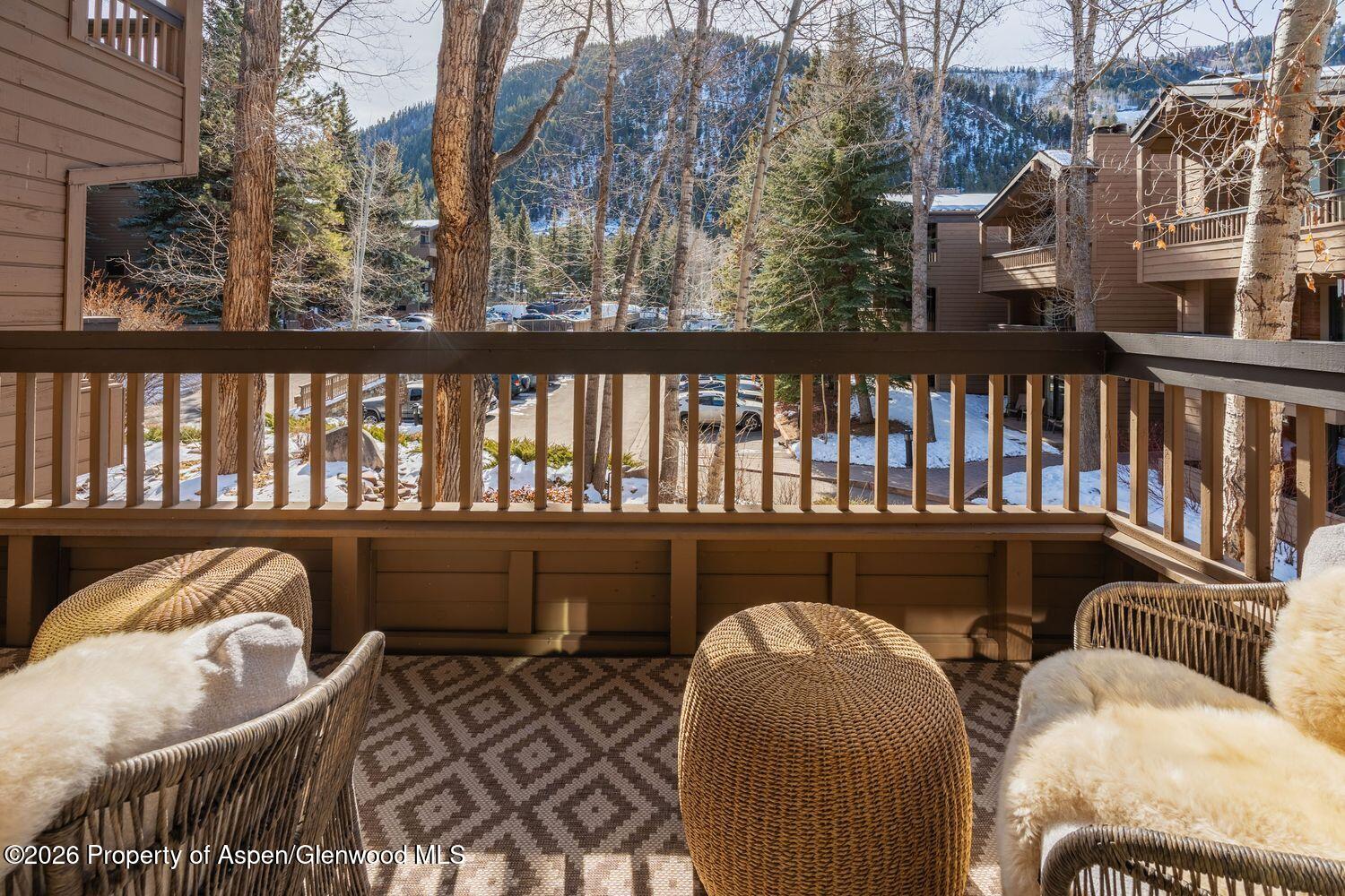 610 S West End Street Aspen CO 81611