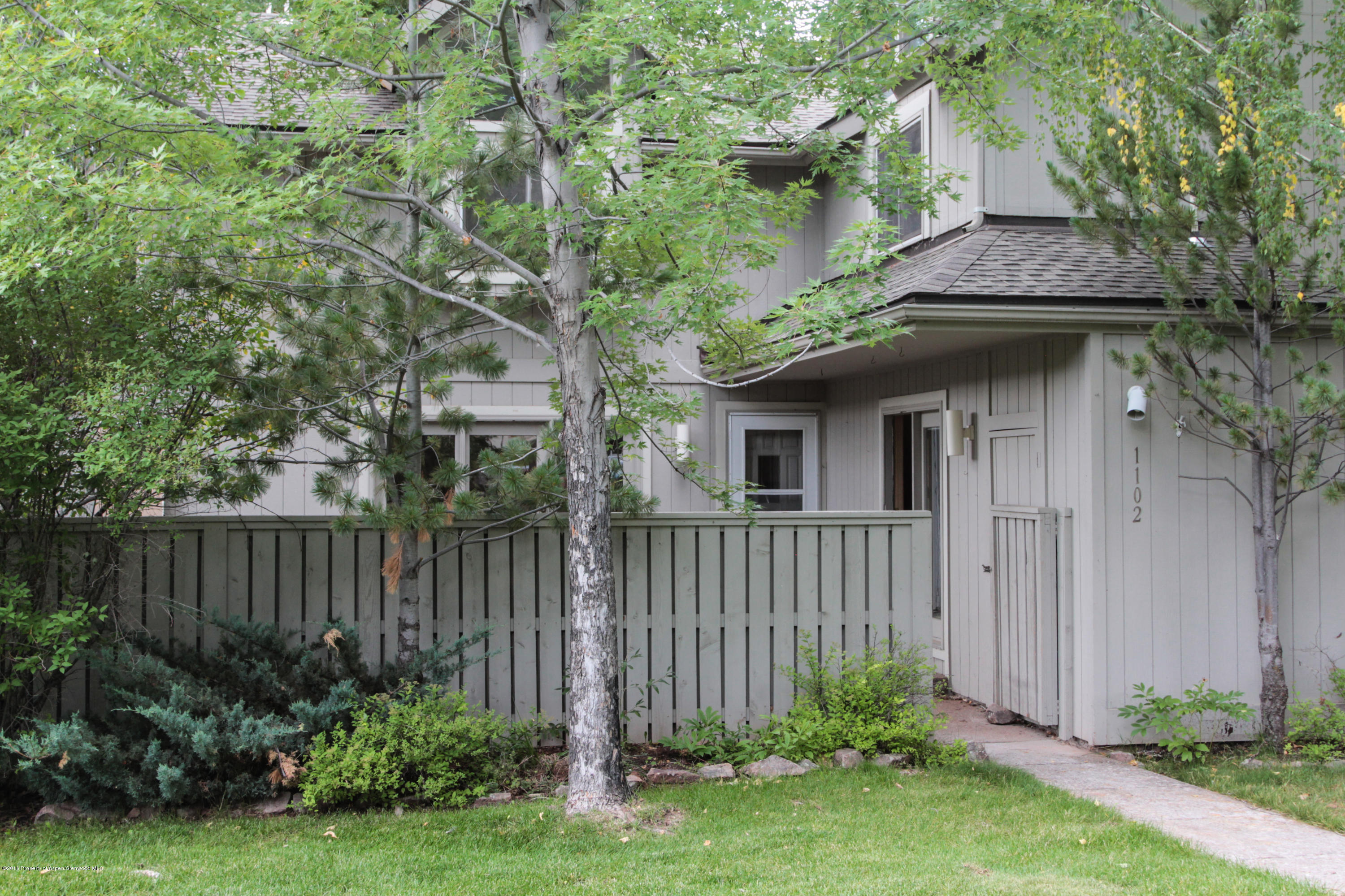 1102 Devon Court Basalt CO 81621
