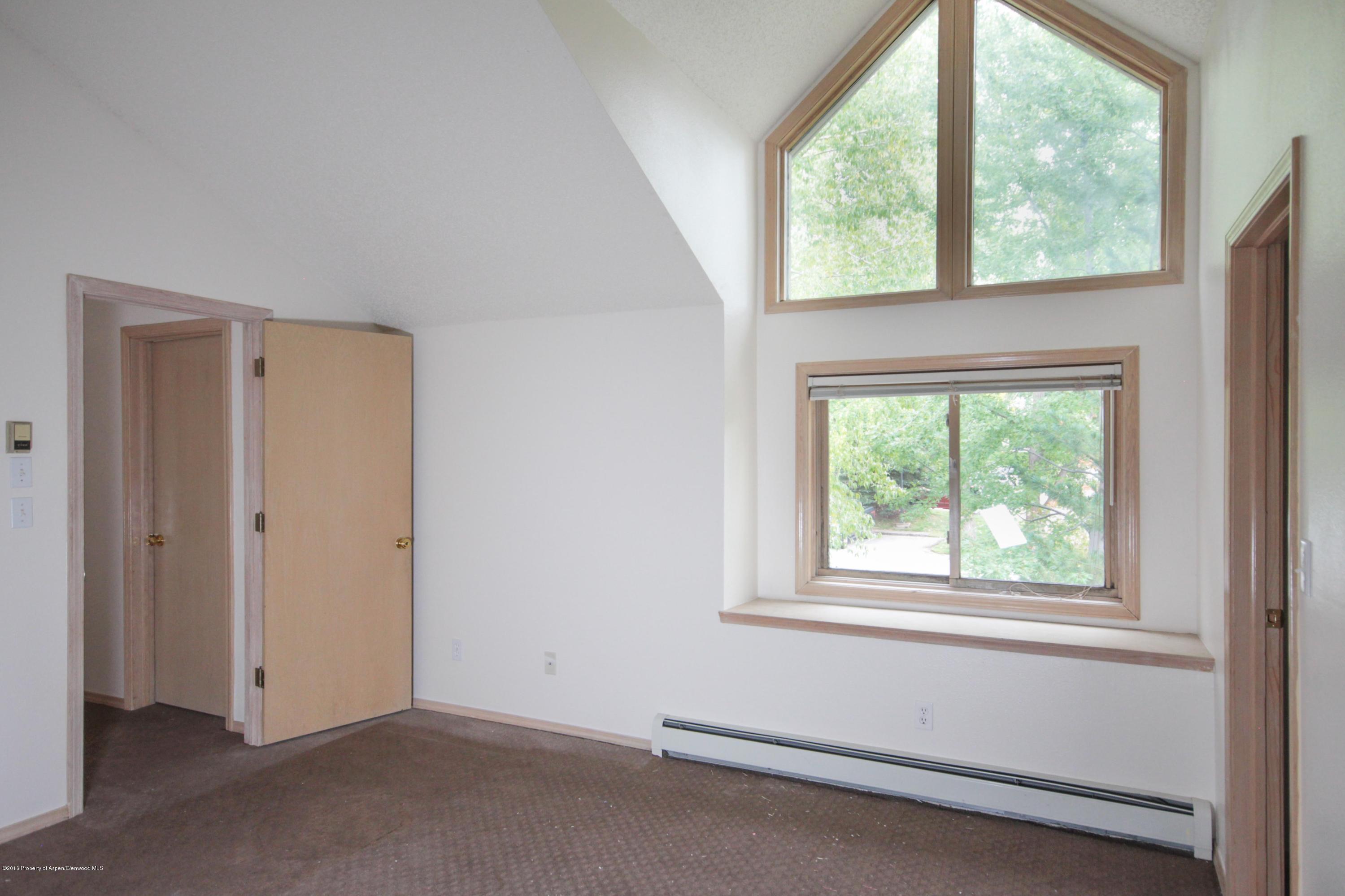 1102 Devon Court Basalt CO 81621