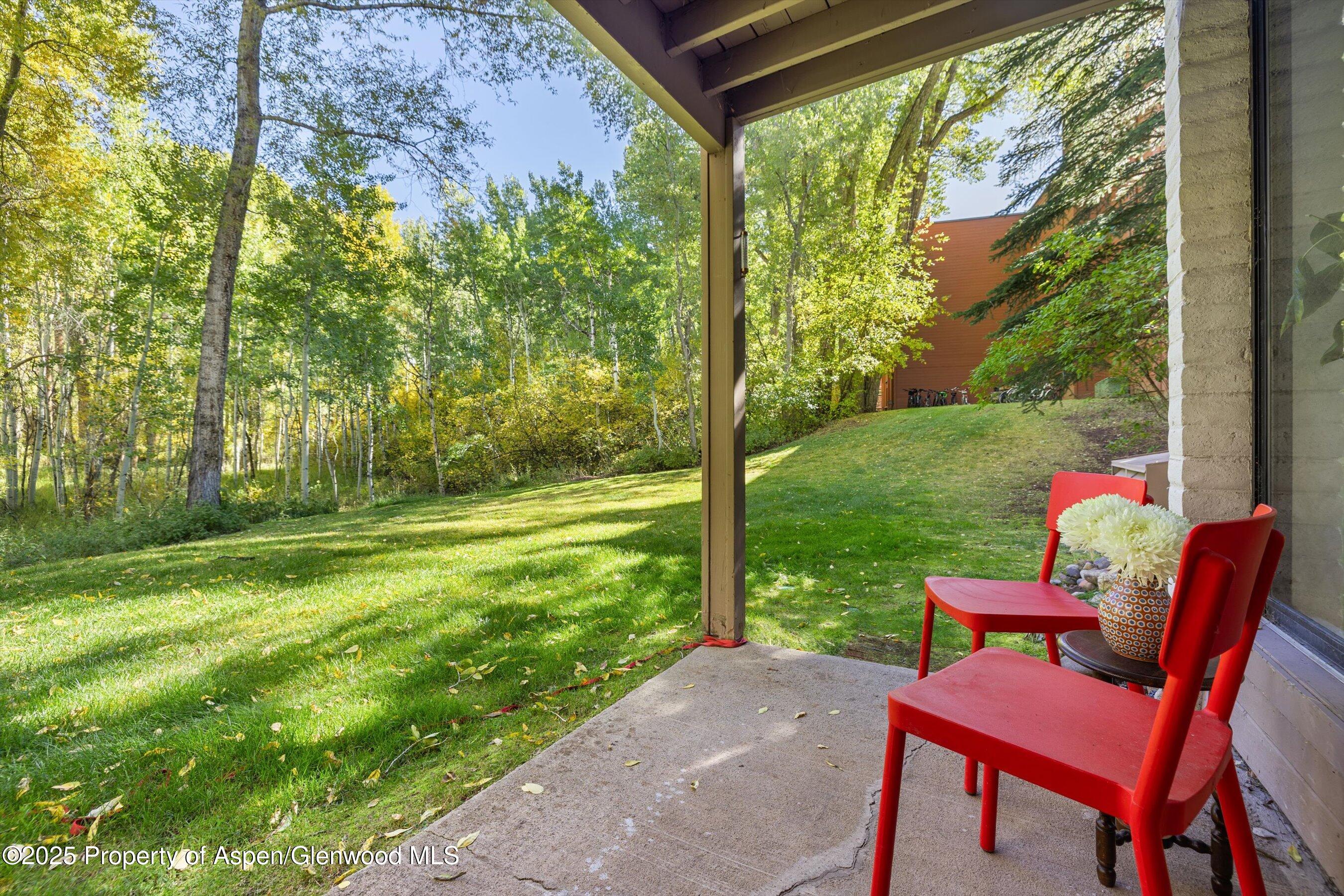 416 Vine Street Aspen CO 81611