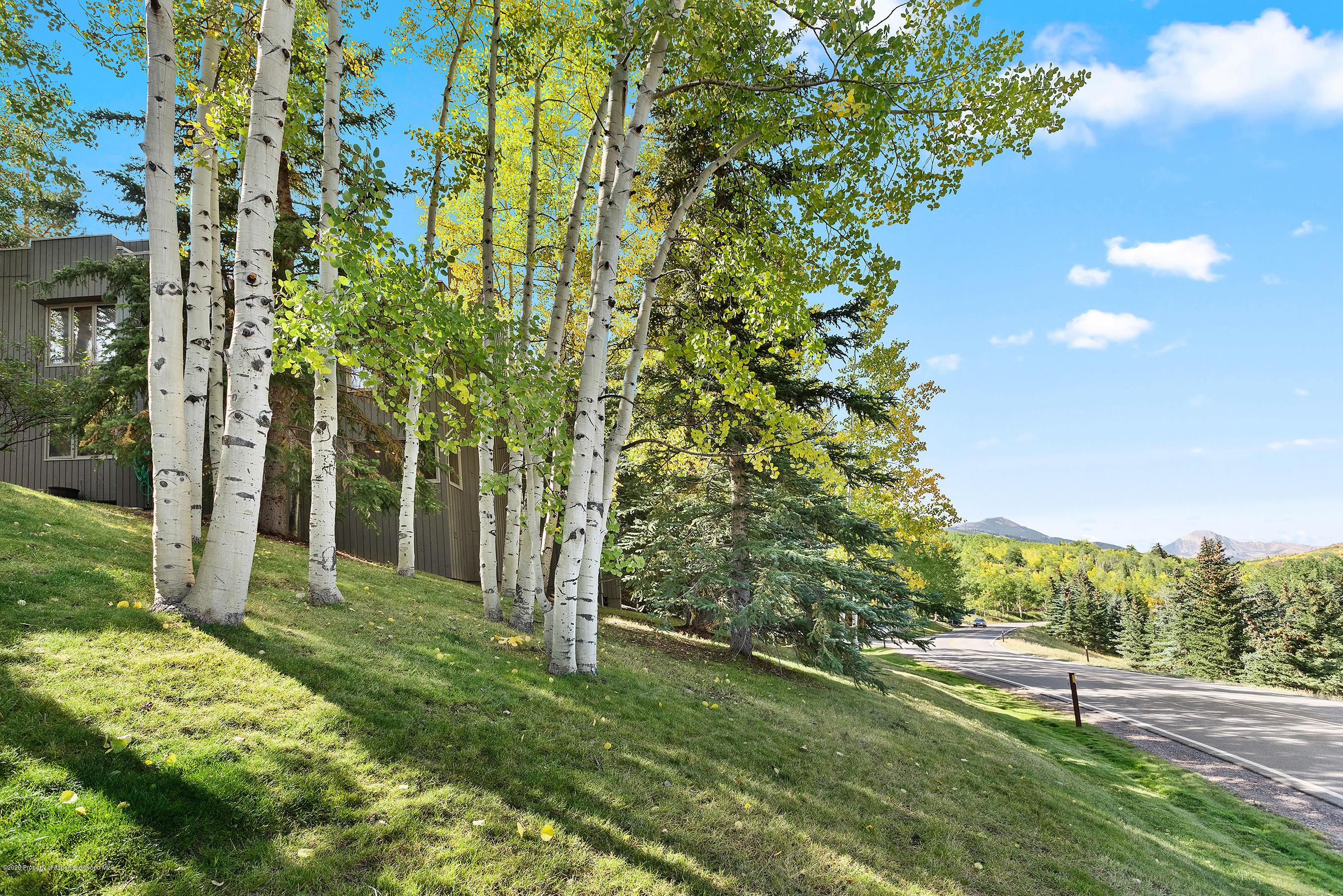 222 Meadow Ranch Snowmass Village CO 81615