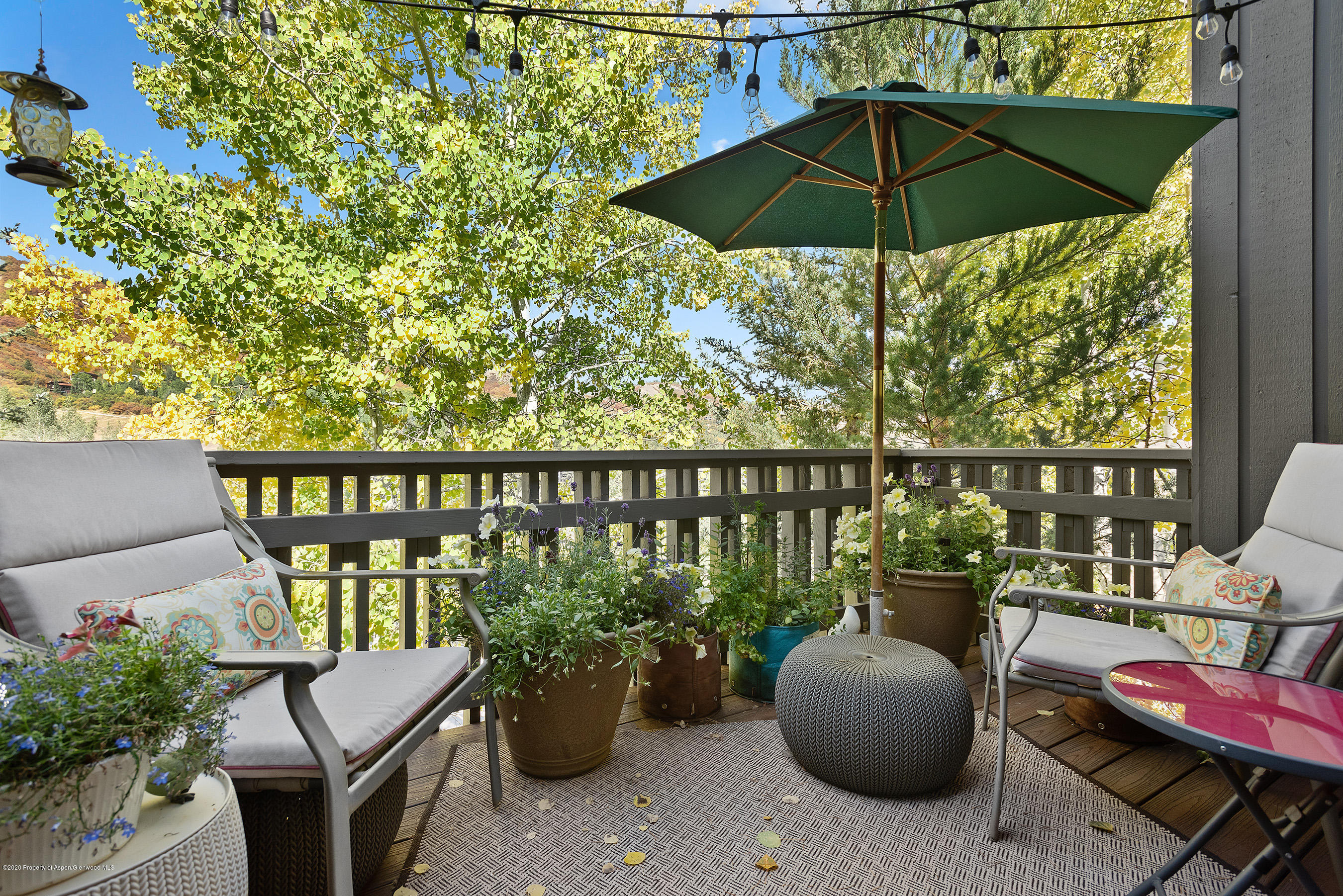 222 Meadow Ranch Snowmass Village CO 81615